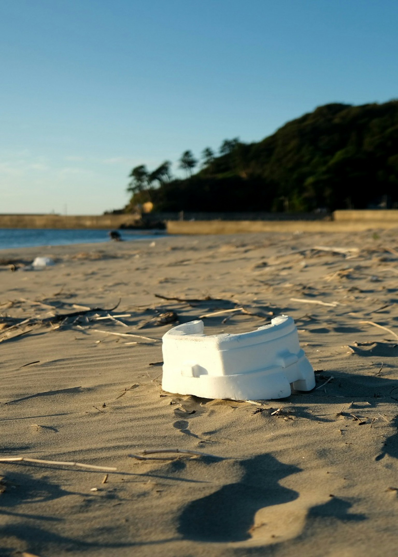 photo-1i8oearGix3yc8pQbhSn-image