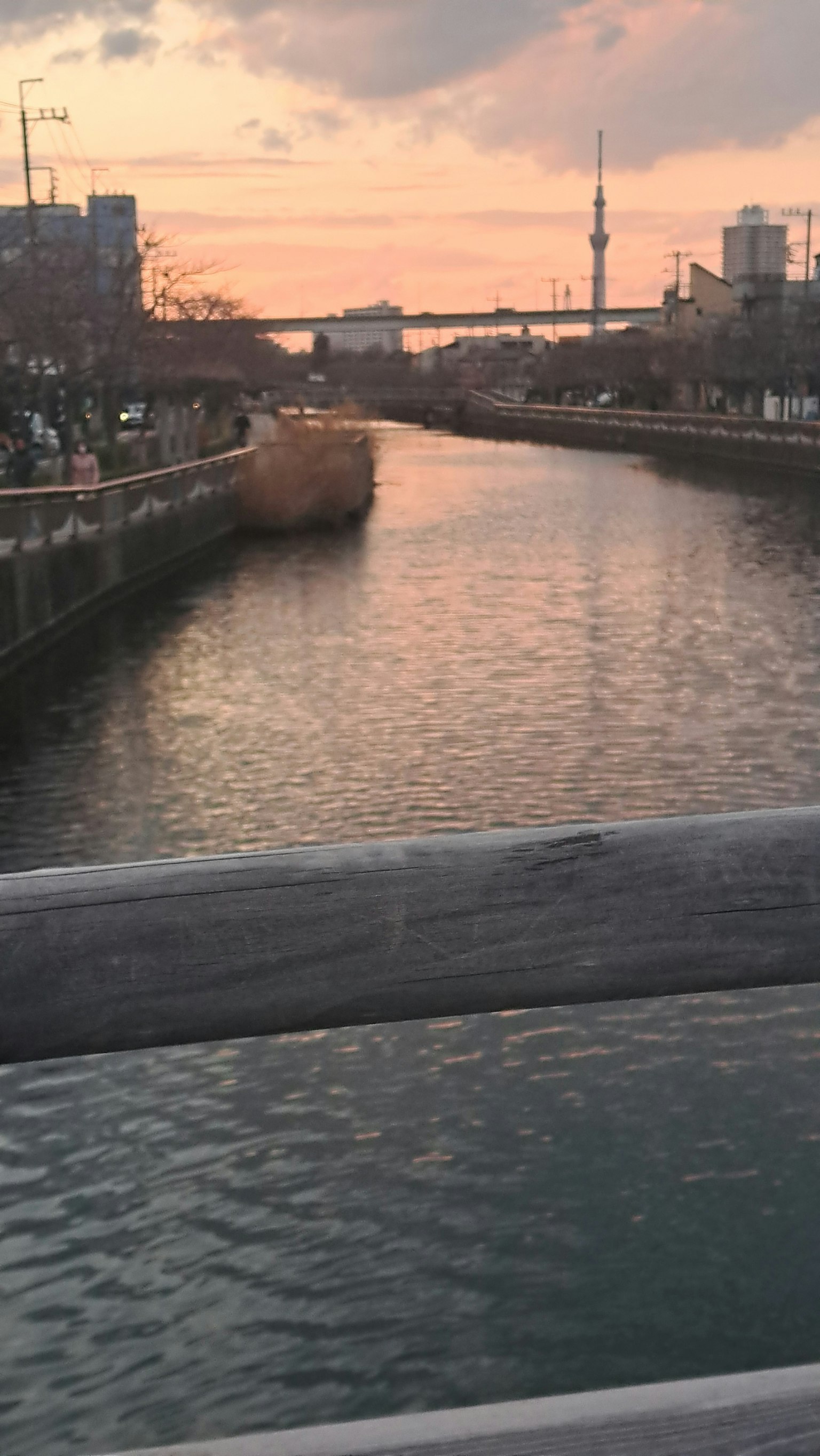 河流映照日落，背景是東京晴空塔