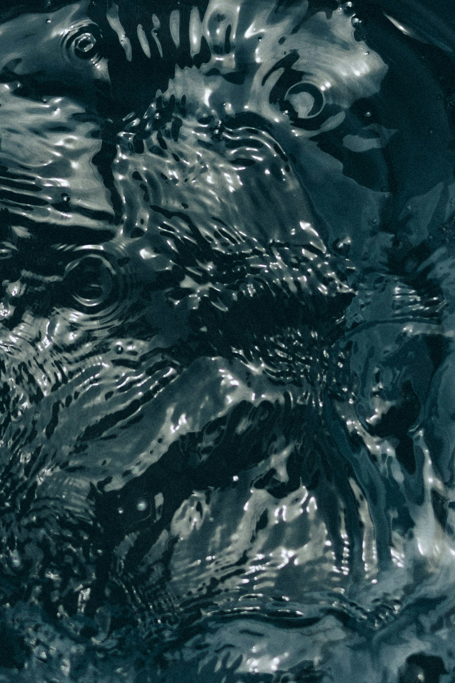 Superficie d'acqua blu scuro con onde e riflessi di luce
