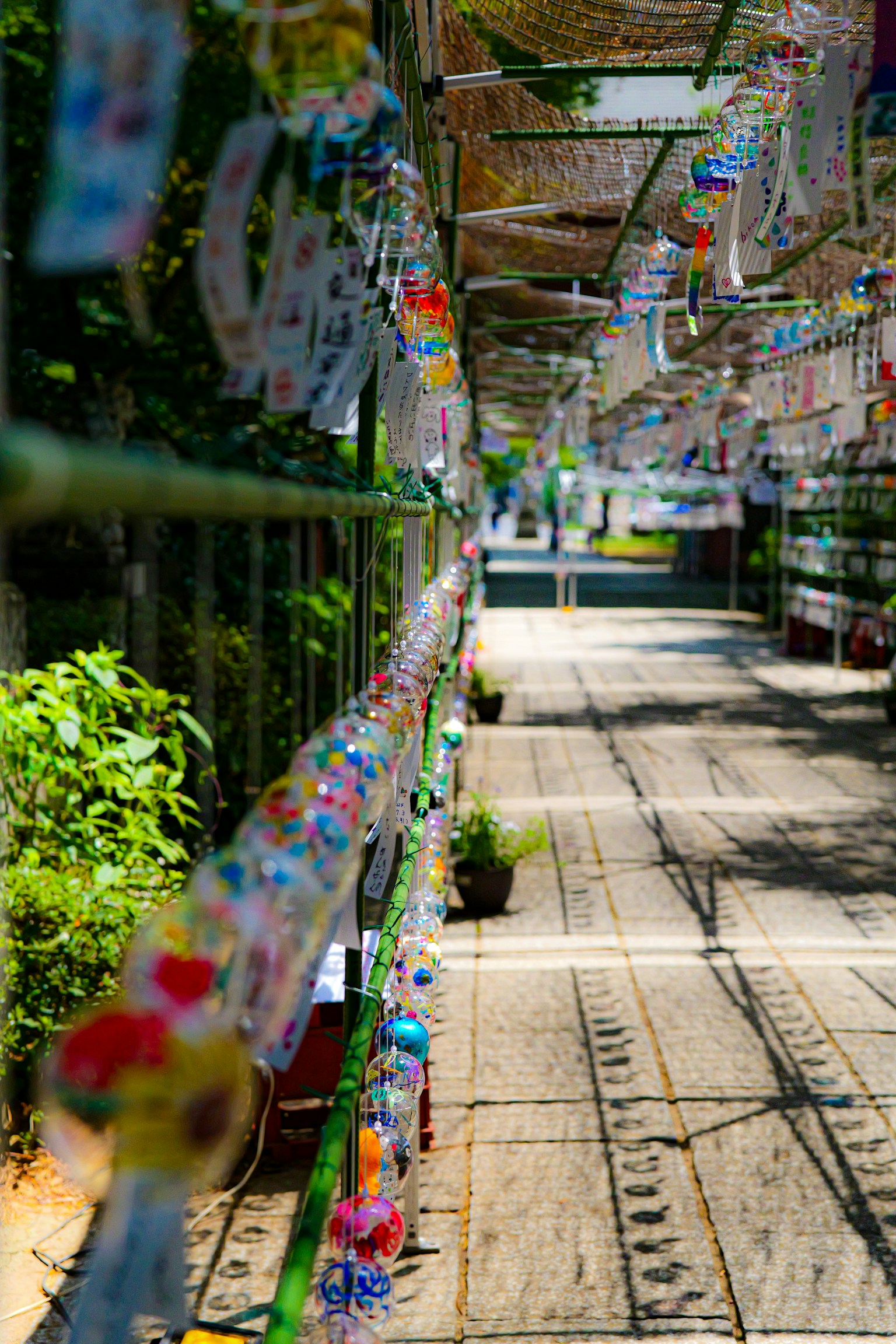 photo-1iraabxfugkF4LjYmuZC-image