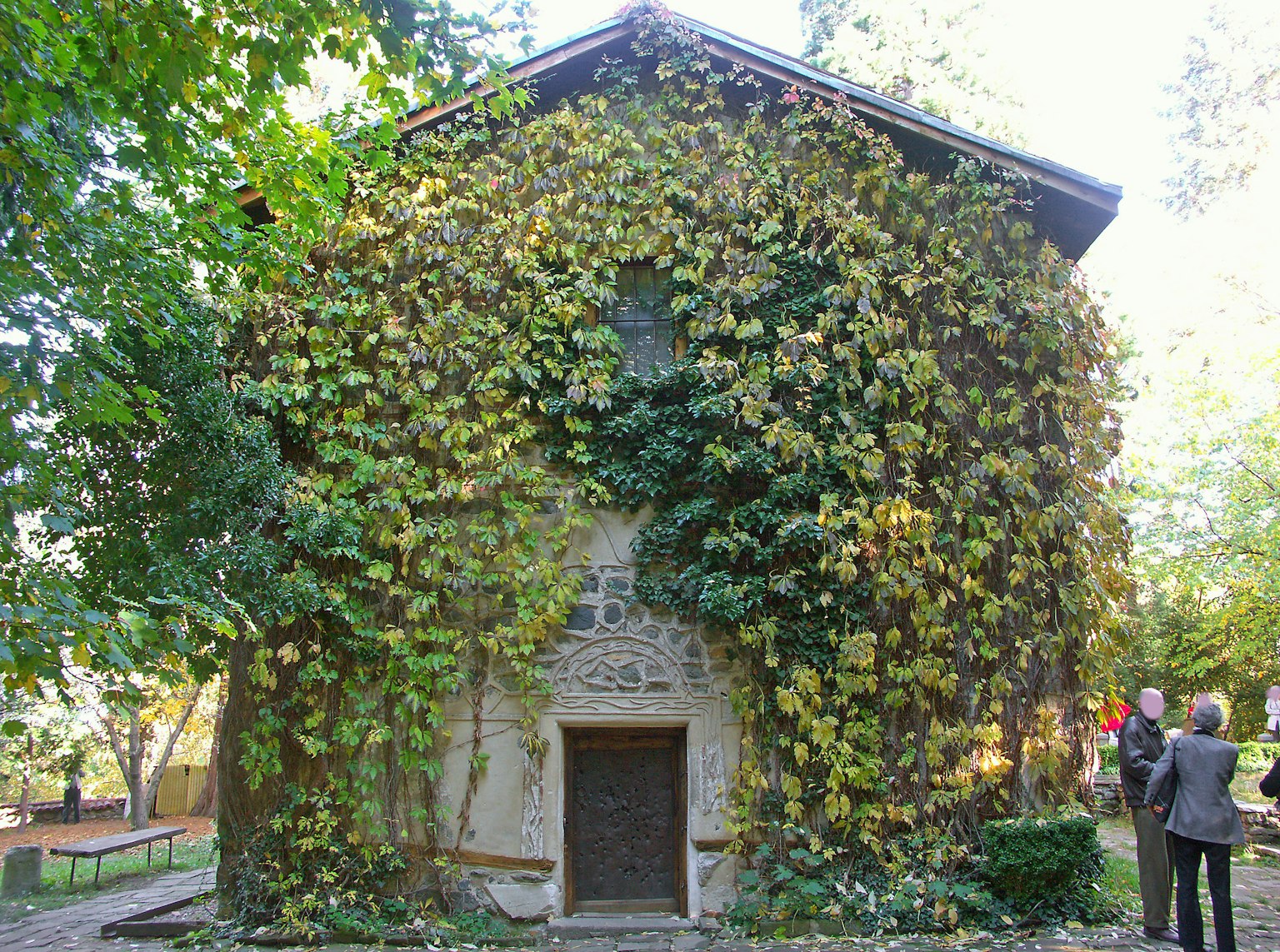 Vecchio edificio coperto di vigneti verdi e circondato da alberi