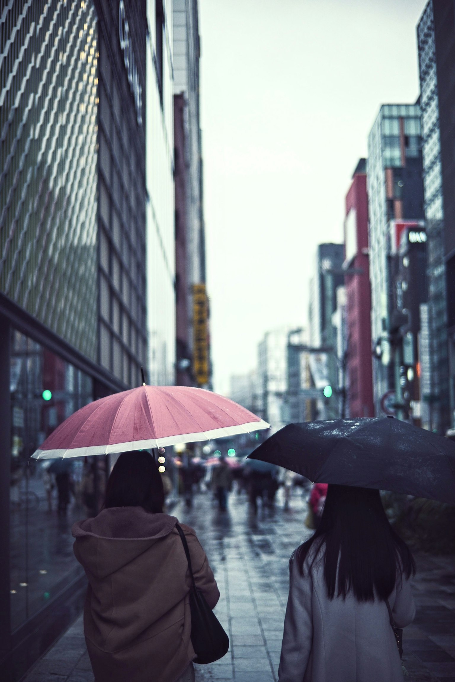Two women walking with umbrellas in the rain cityscape featuring tall buildings