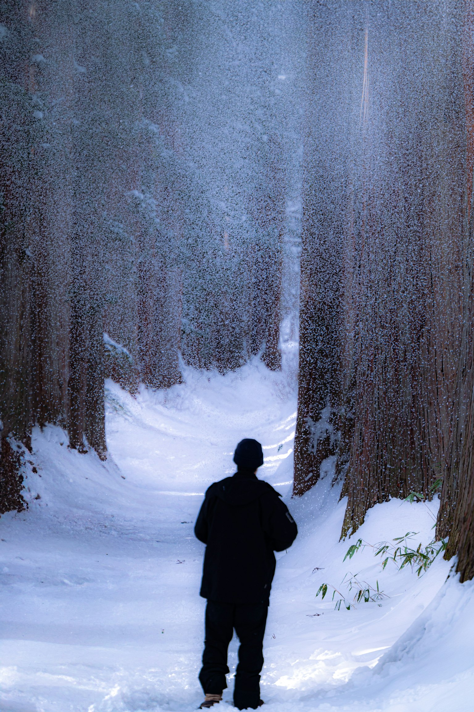 photo-1jTwNih7oWPPUy96l2AB-image