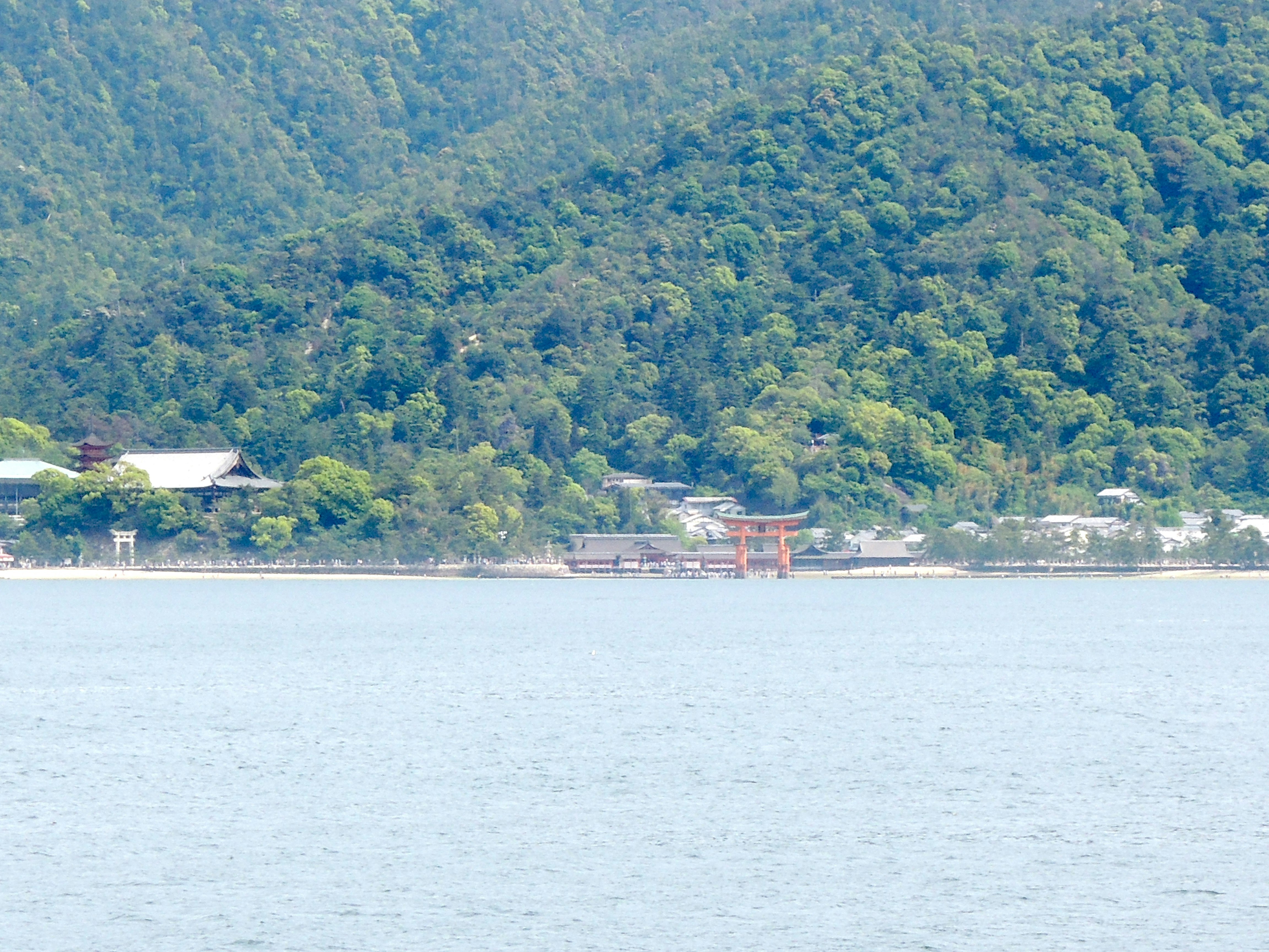 海沿いの水面と山並み、岸壁の建物が見える景色