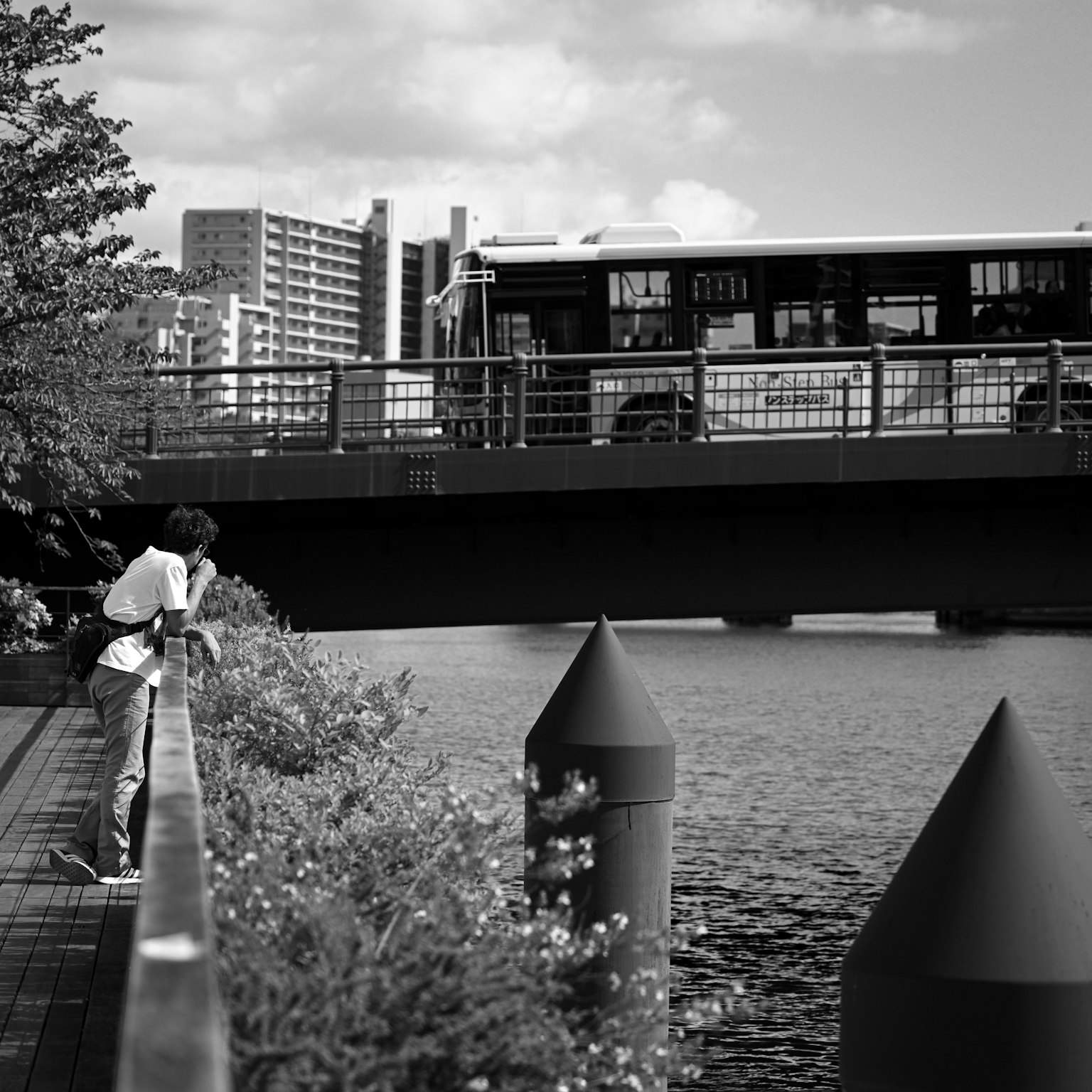 黑白照片中一个人凝视着河边的桥和上面的公交车