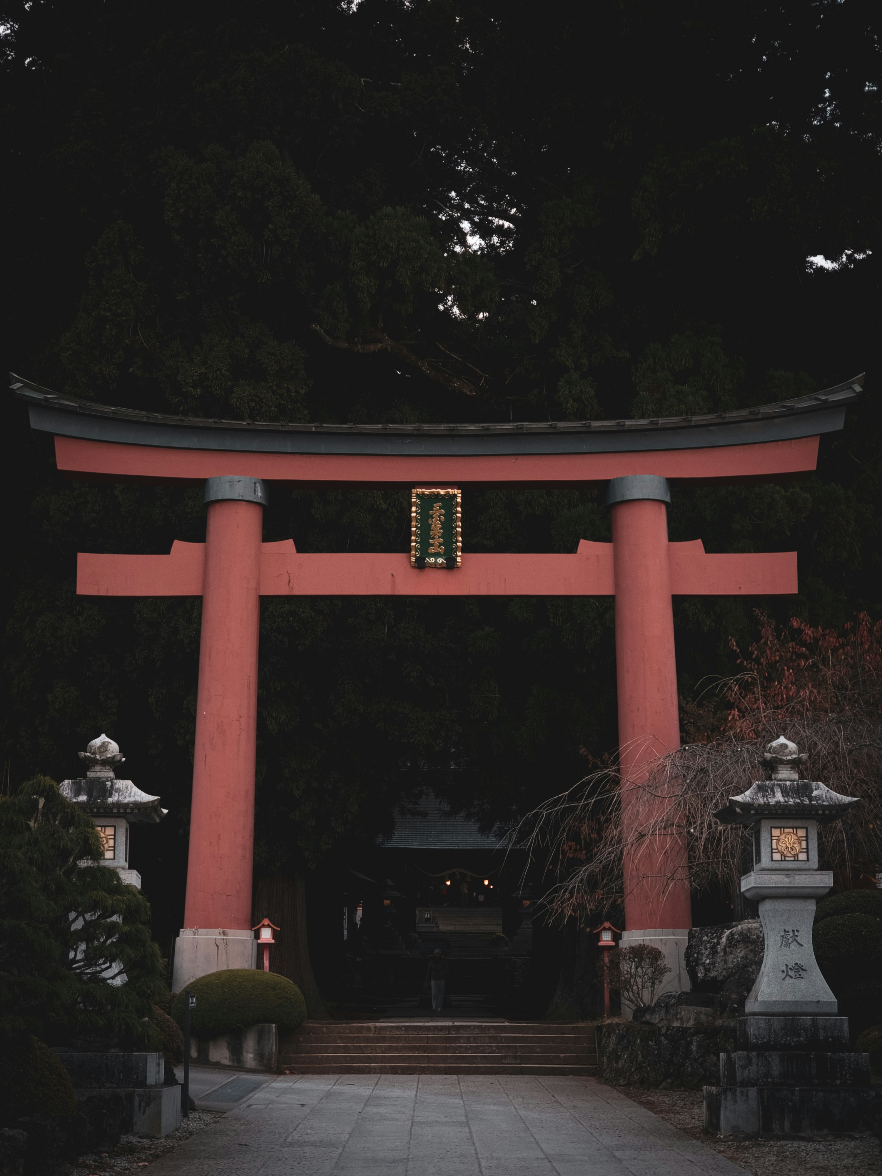 河口浅間神社の鳥居と石灯籠のある夜の参道