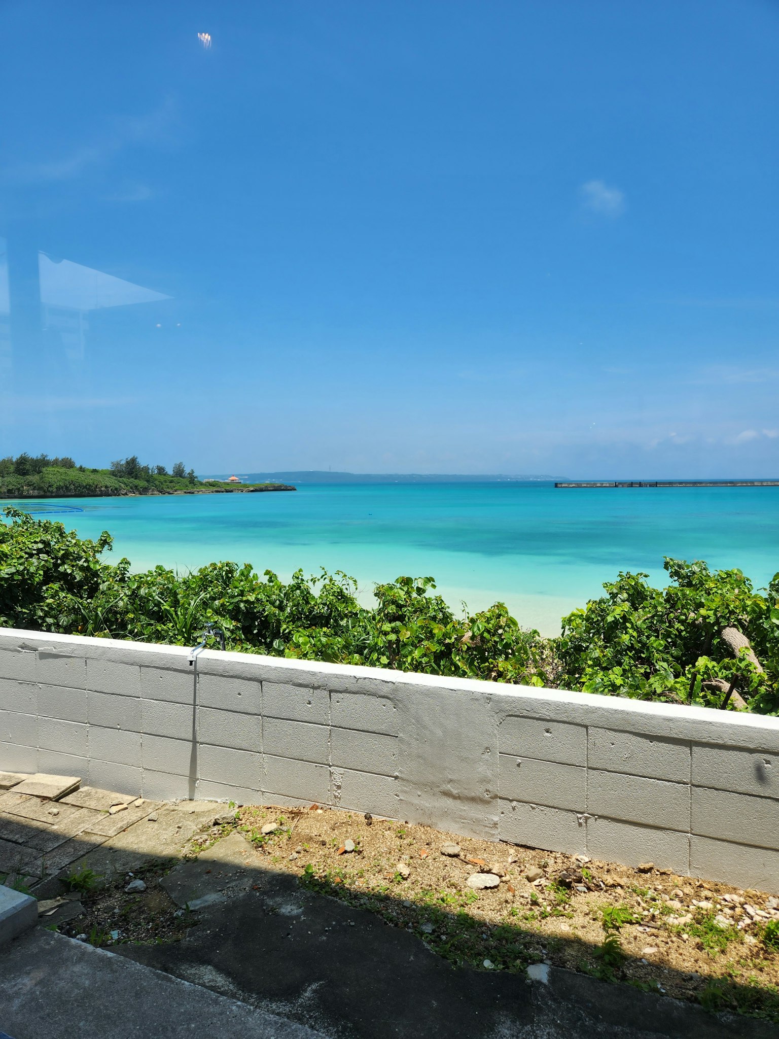 Beautiful view of blue ocean and green plants