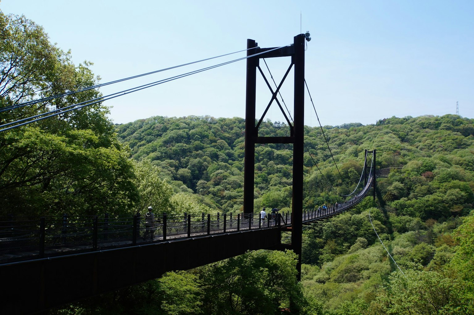 Jembatan gantung dikelilingi oleh bukit hijau