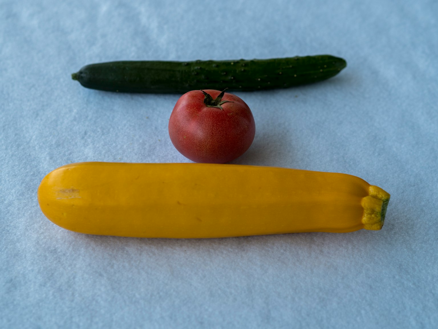 A green cucumber, a red tomato, and a yellow zucchini arranged in a row