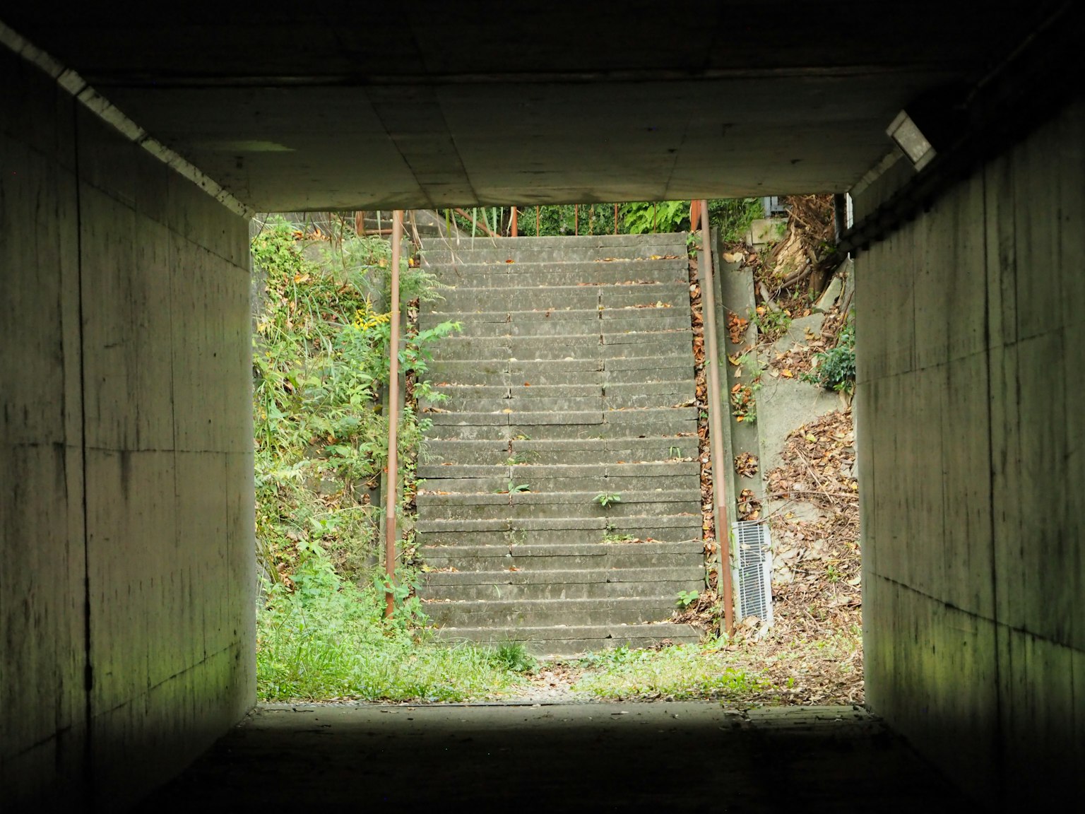 Vue des escaliers et des plantes vertes depuis un tunnel