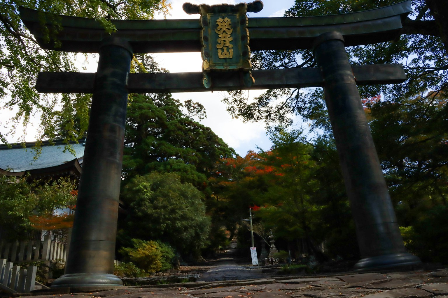 Cổng torii lớn bao quanh bởi cây cối xanh tươi