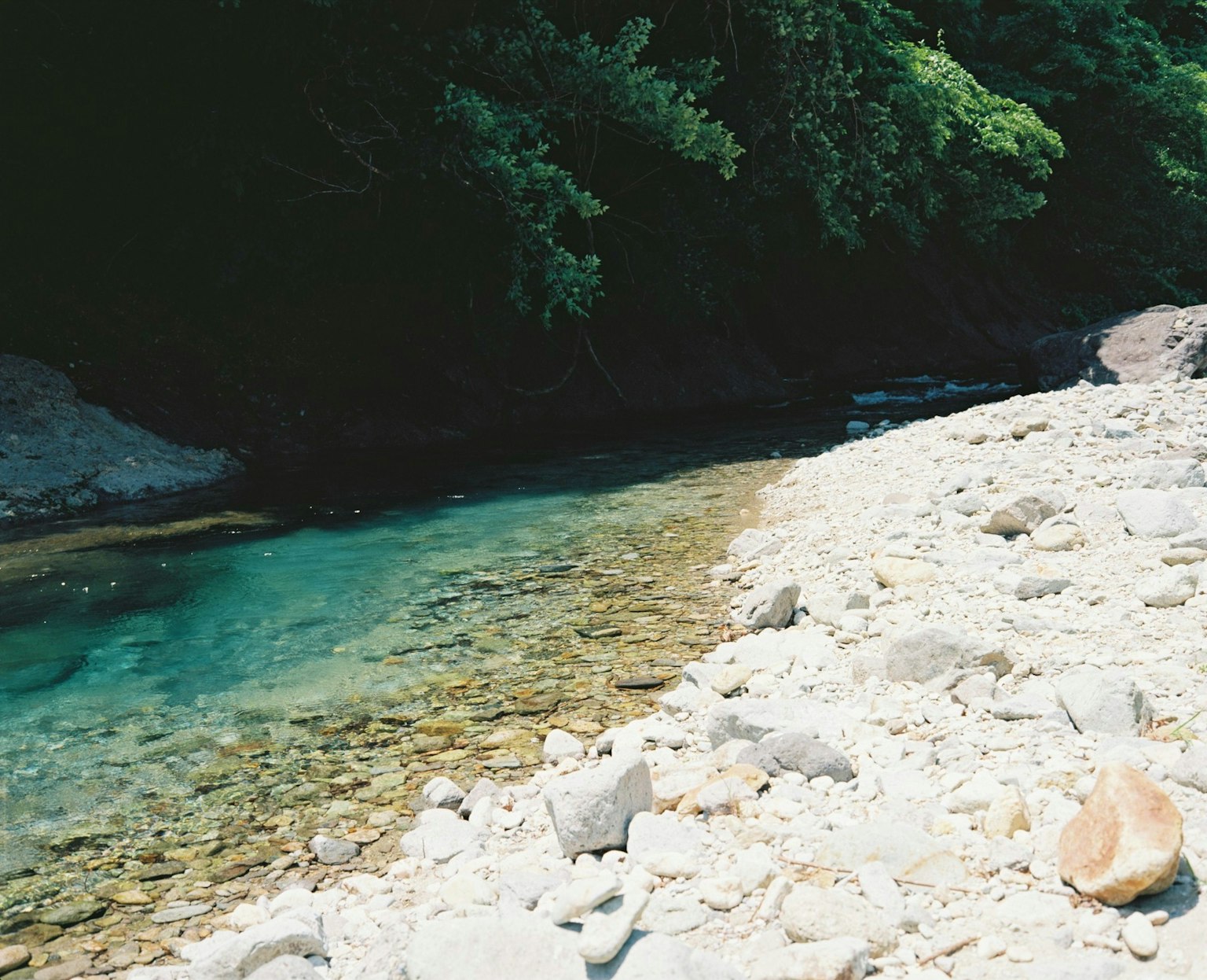 Clear river with a rocky shore and lush green trees