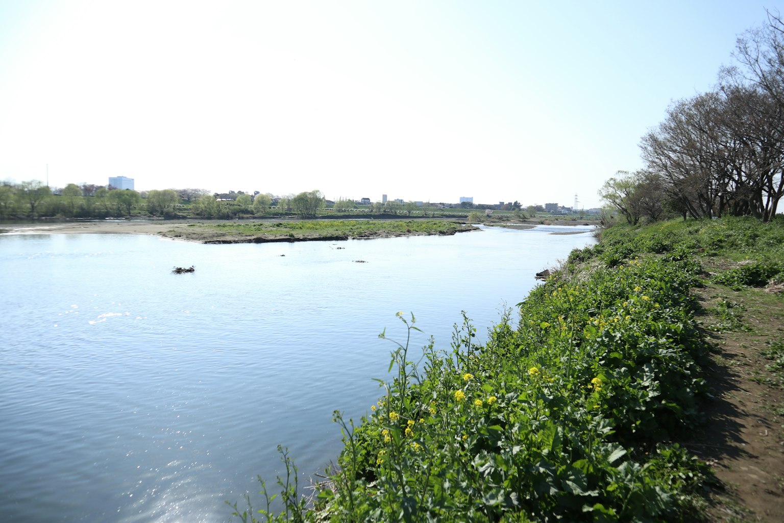 Scenic river view with lush greenery along the bank on a sunny day