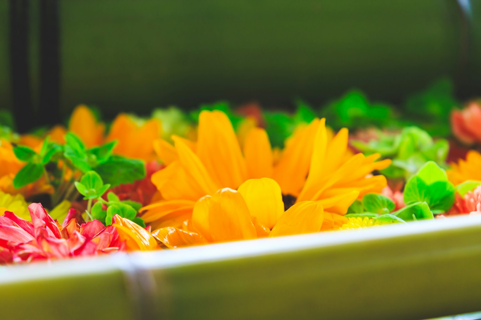 Fiori colorati disposti in modo bello con un fiore arancione al centro