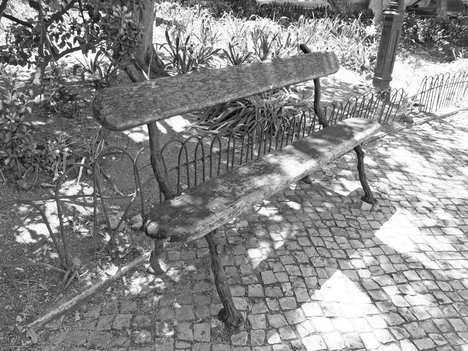 Panchina del parco con ombre degli alberi vicini