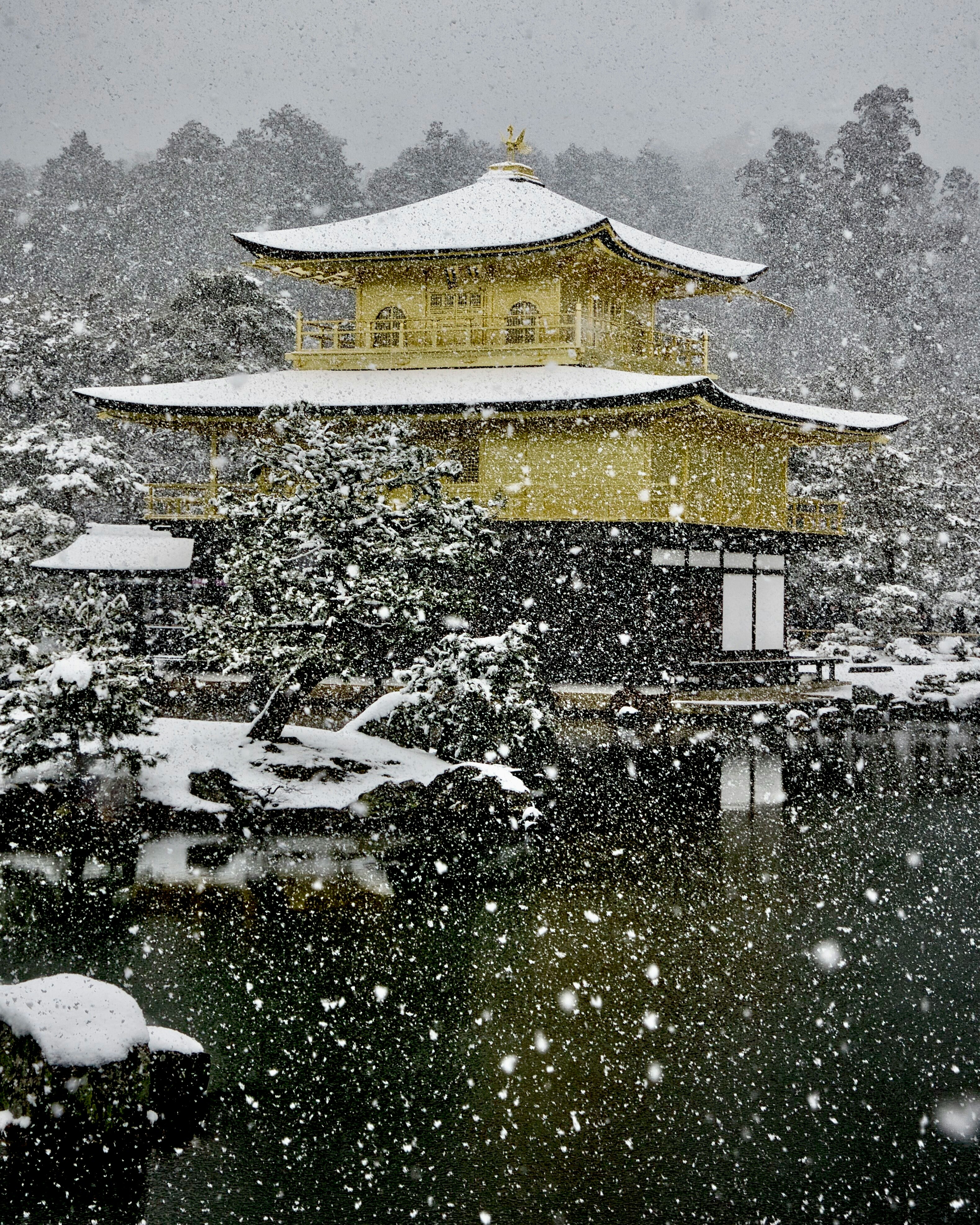 雪化粧した金閣寺の雪景色