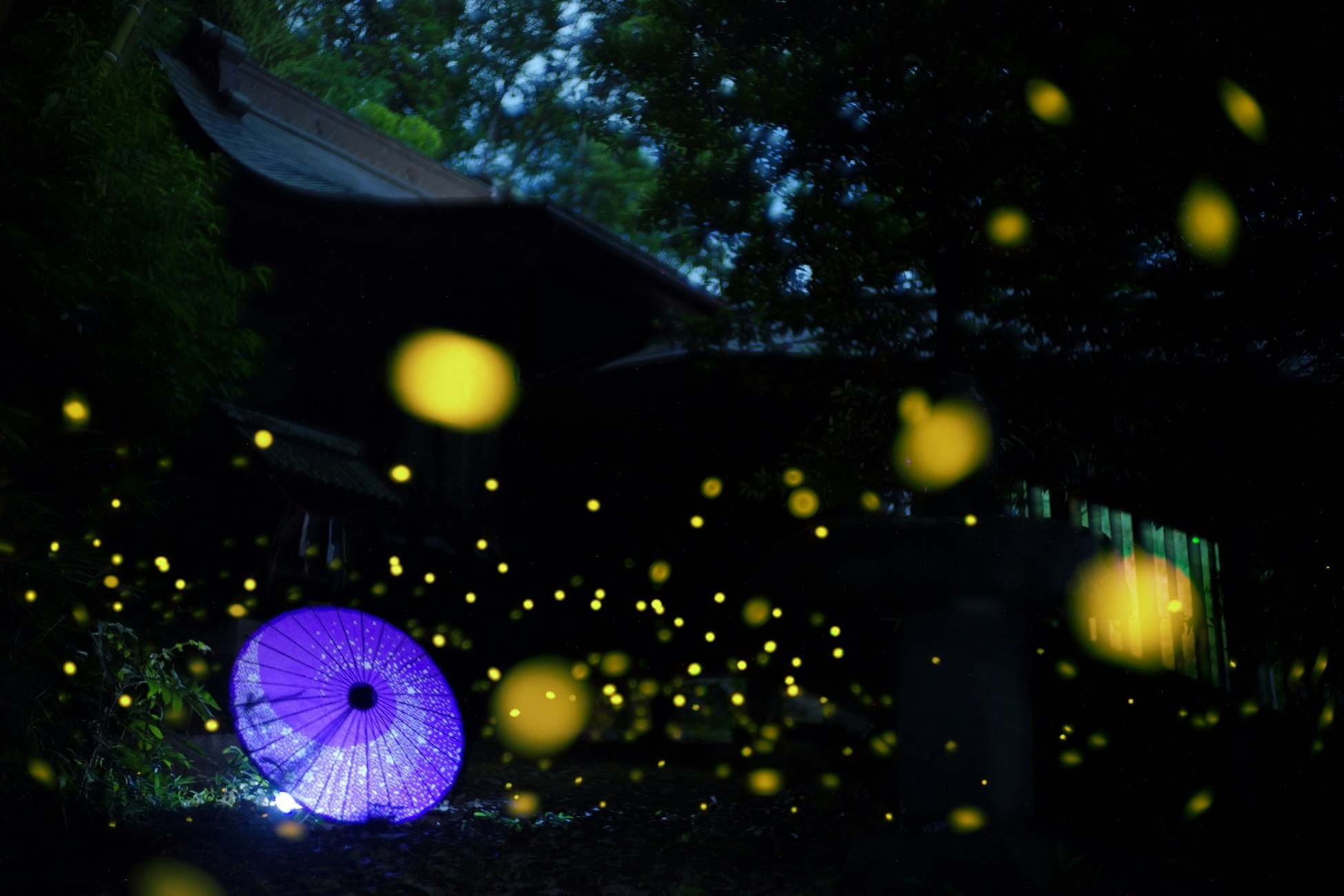 夏の夜の庭先に浮かぶ光の演出