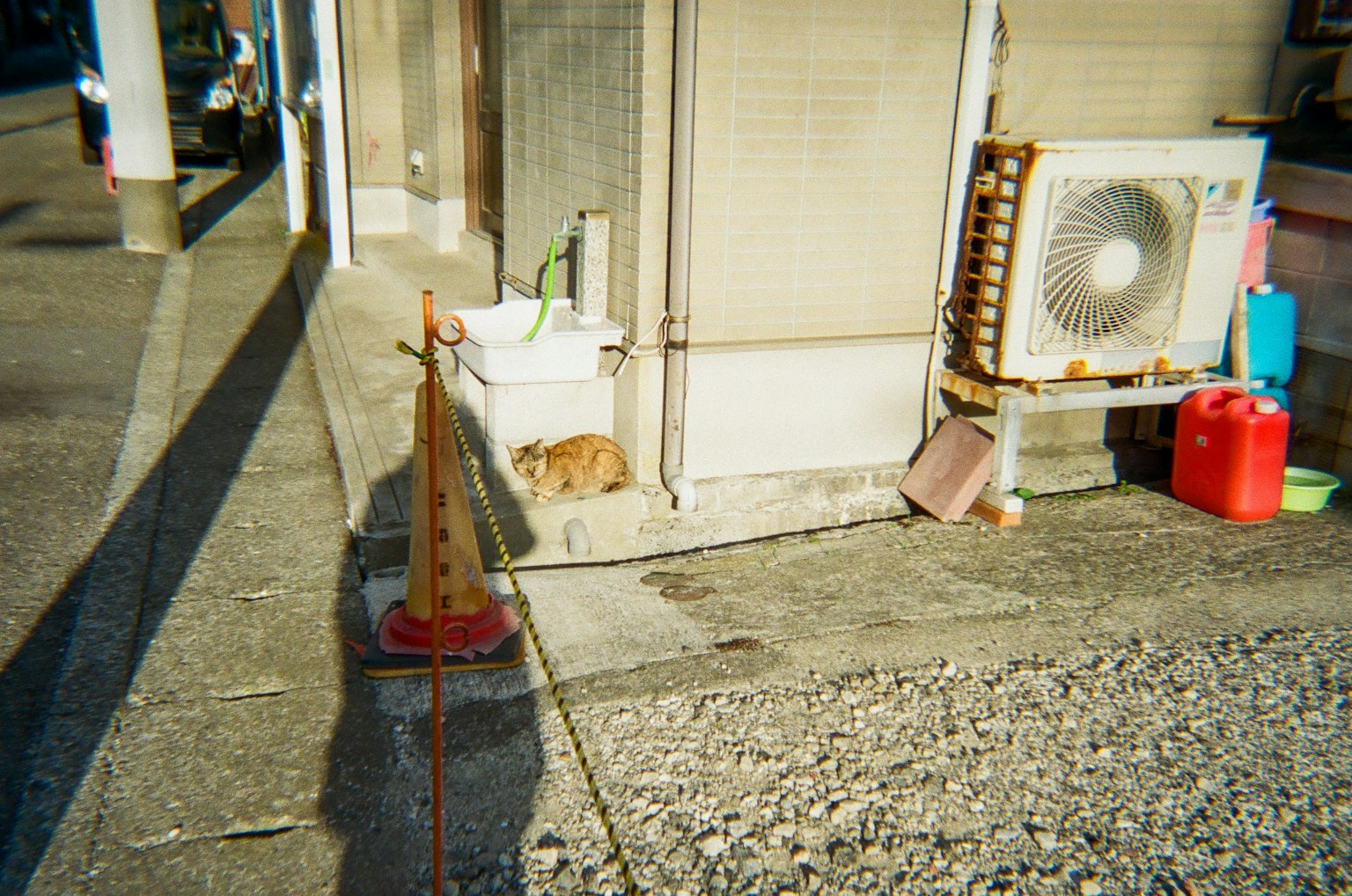 A cat resting in a corner by a building with various objects nearby