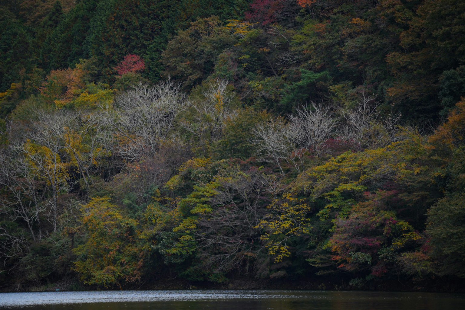 Vista panoramica del fogliame autunnale attorno a un lago tranquillo