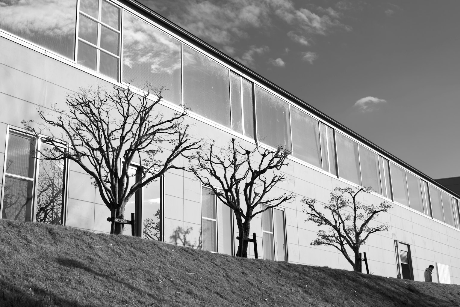 Imagen en blanco y negro de un edificio moderno con árboles en silueta