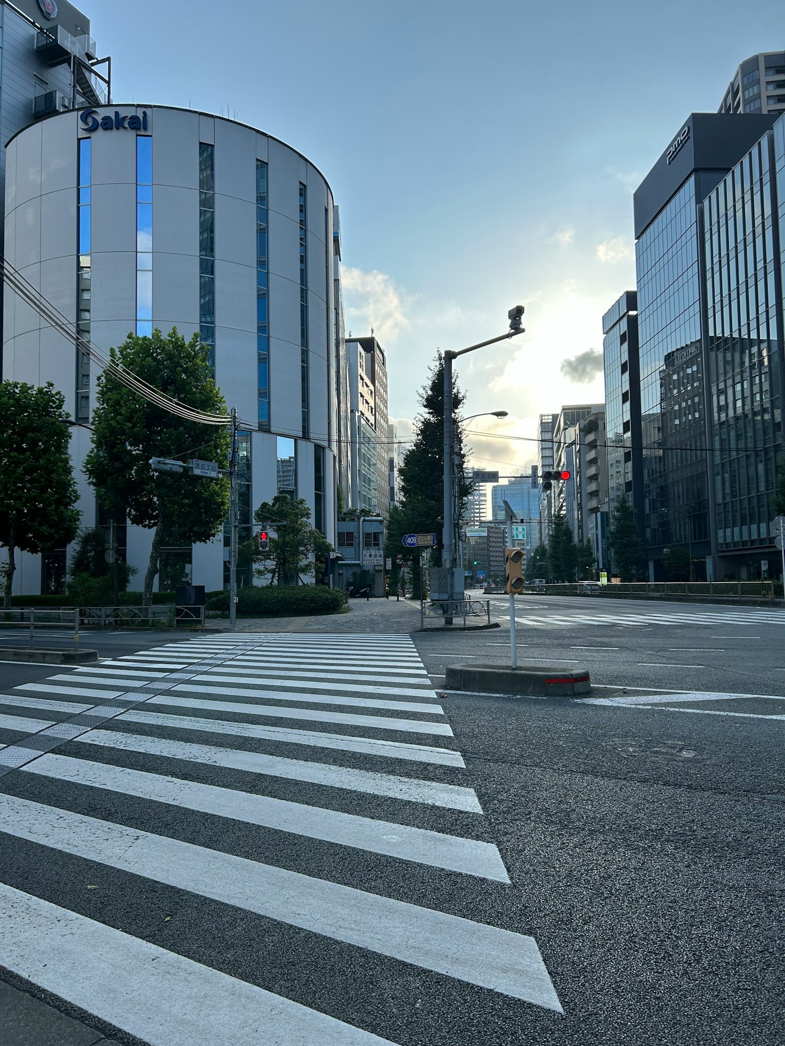 城市景观，带有斑马线和现代建筑