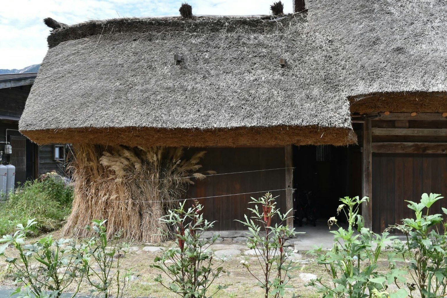 Exterior de una casa tradicional con techo de paja rodeada de plantas verdes