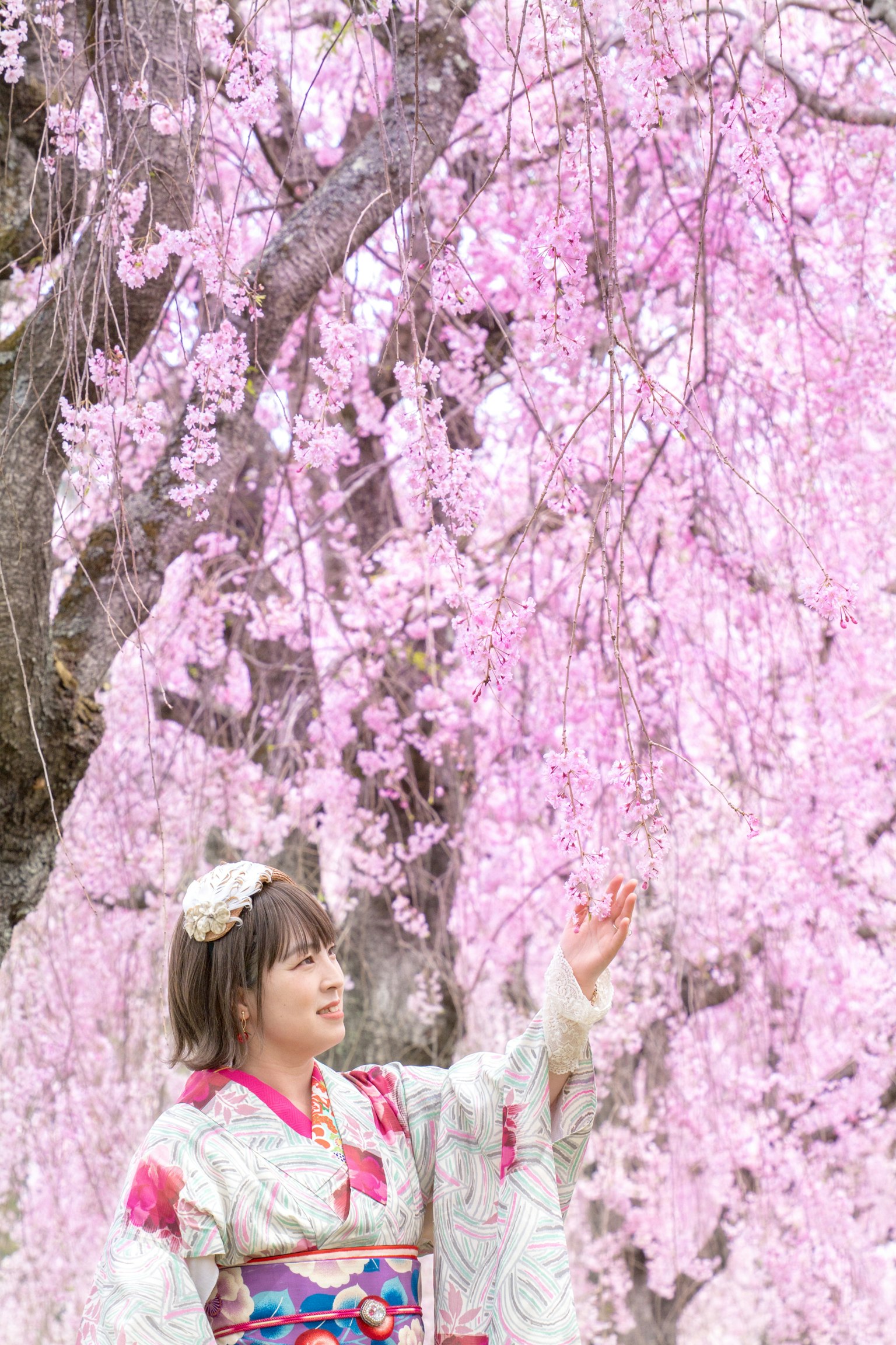 Mujer en kimono tocando flores de cerezo