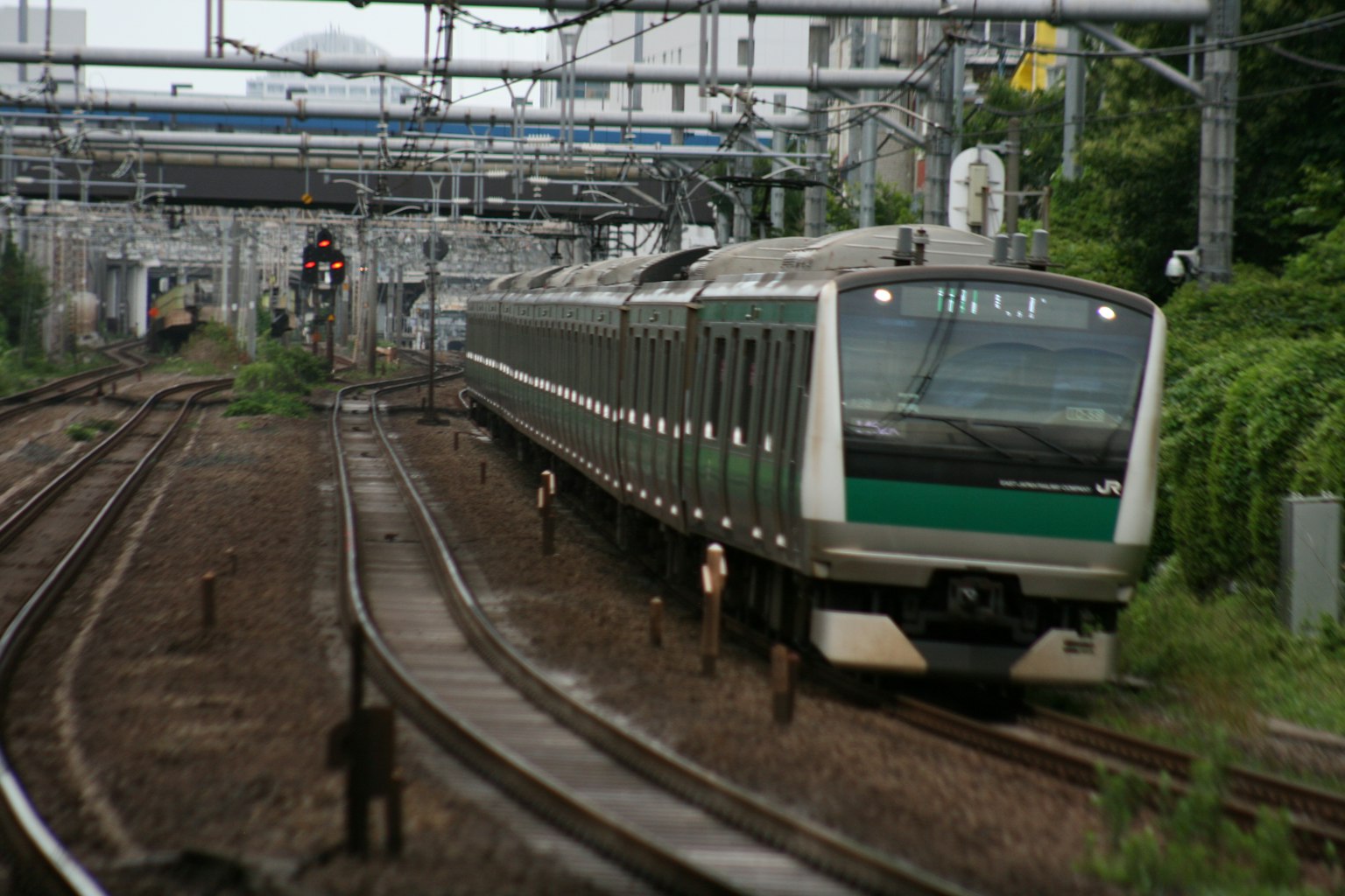 Un treno verde che viaggia su binari circondati da vegetazione
