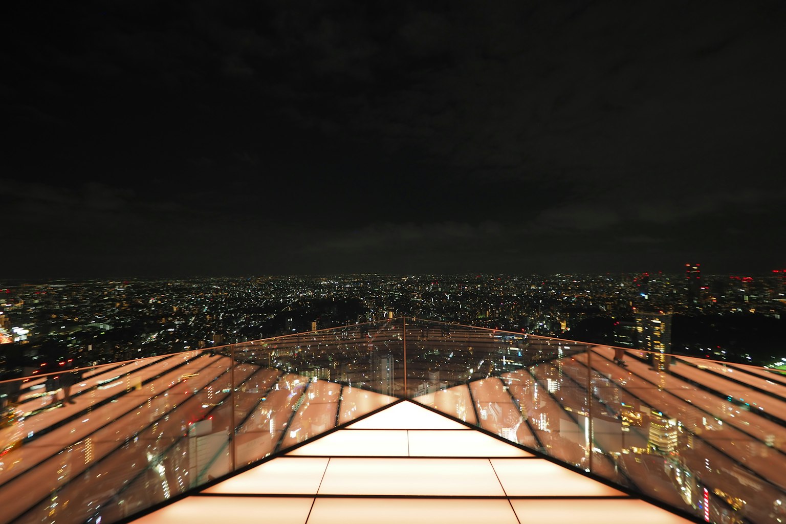 View from an observation deck overlooking Tokyo's night skyline