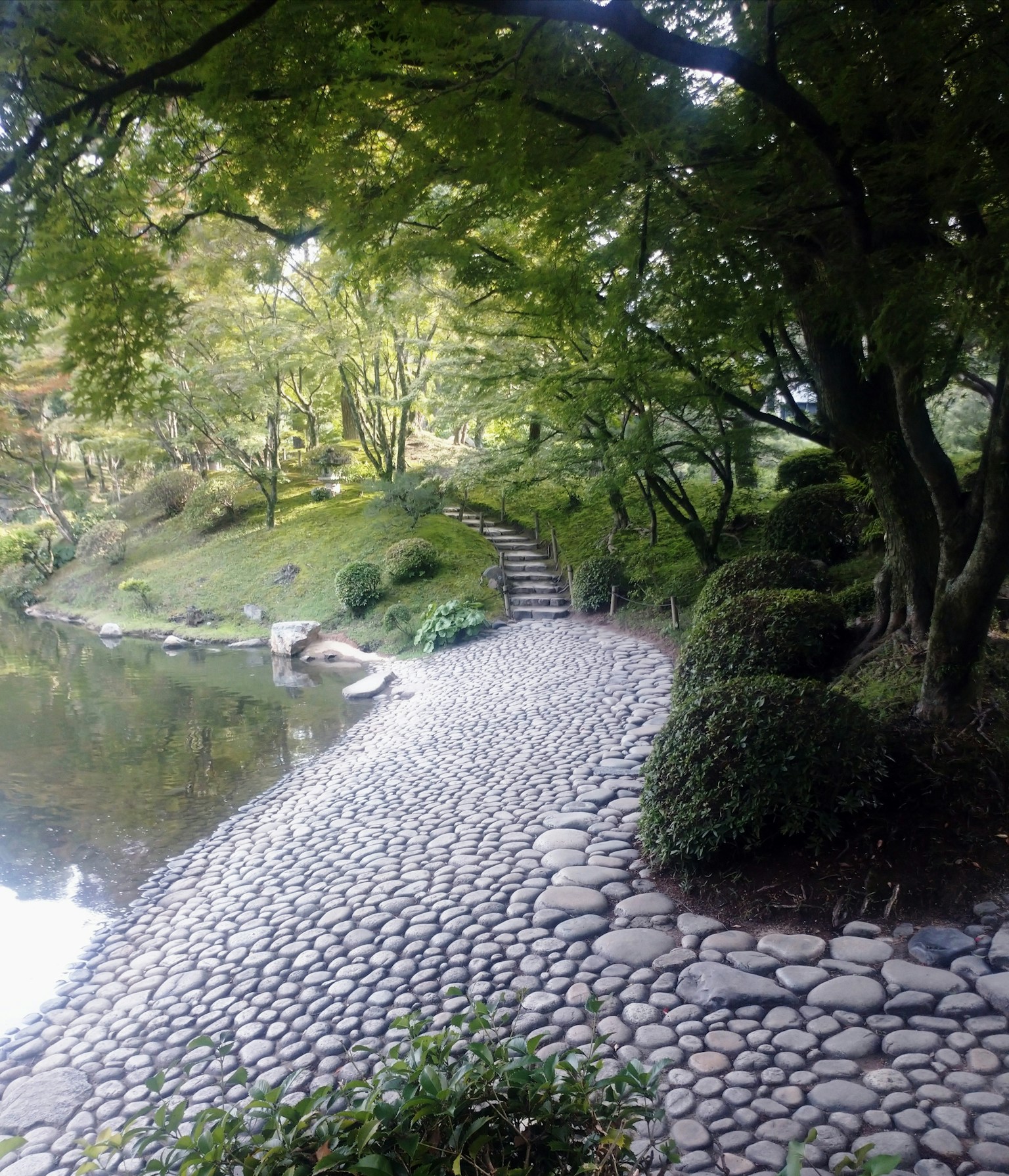 Chemin de jardin pittoresque en pavés entouré de verdure luxuriante