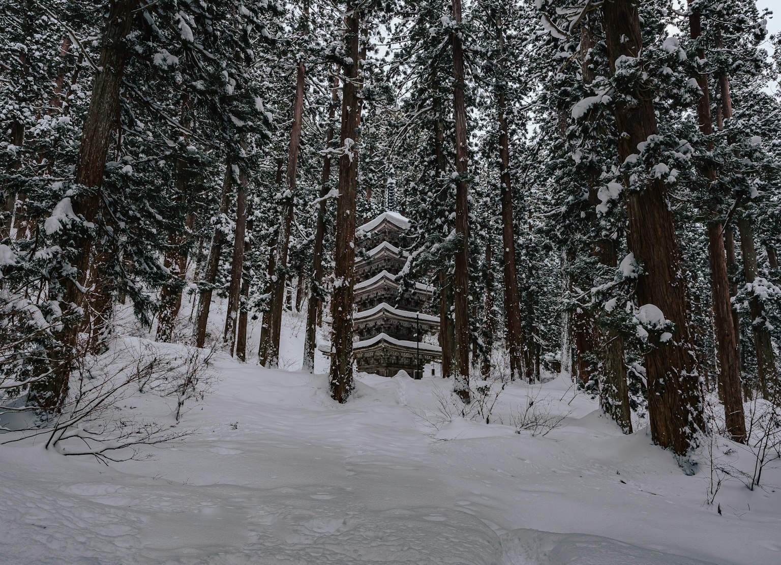 Immagine di un edificio circondato da alberi coperti di neve