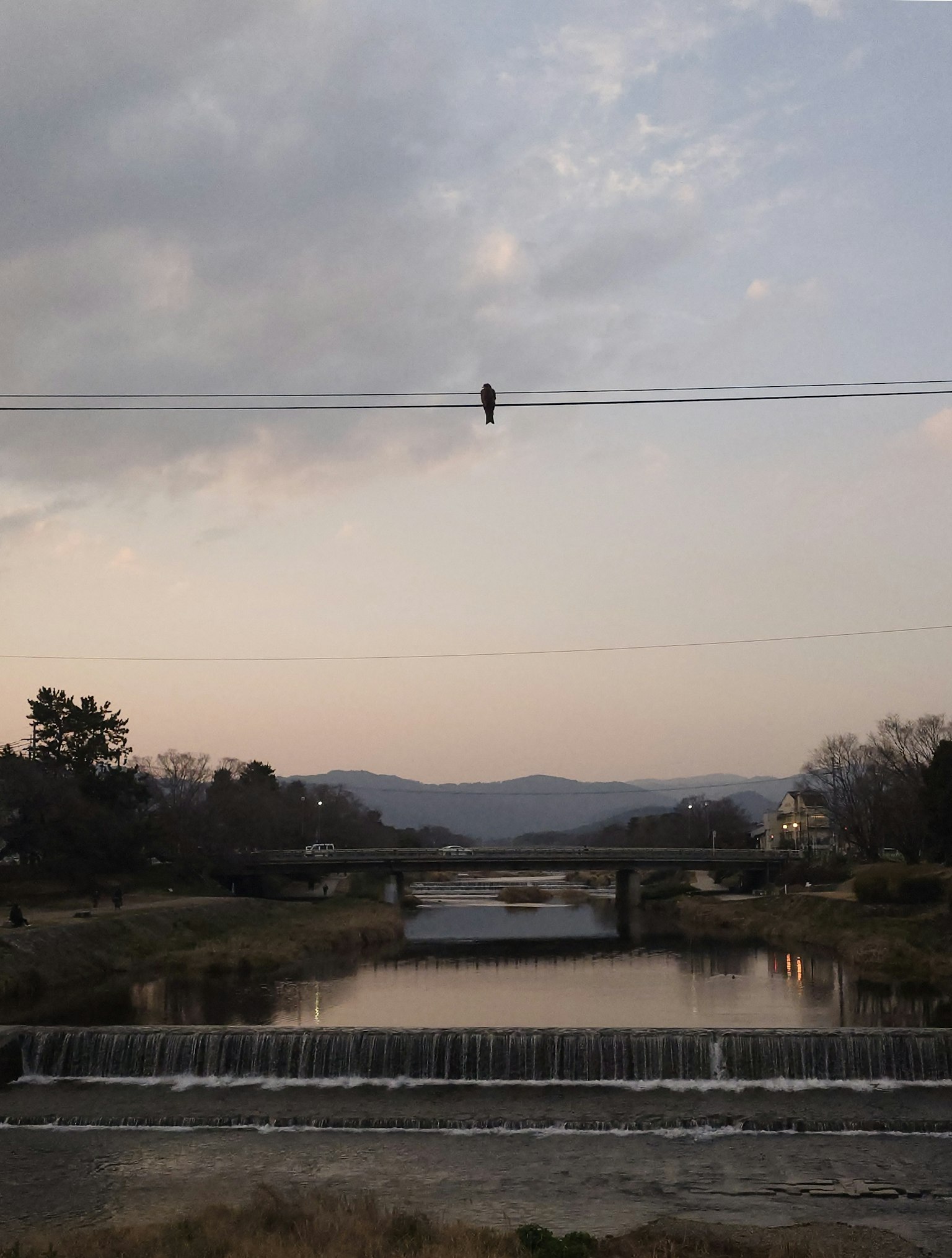 Scenic view of a river and bridge at dusk with a bird perched on a wire