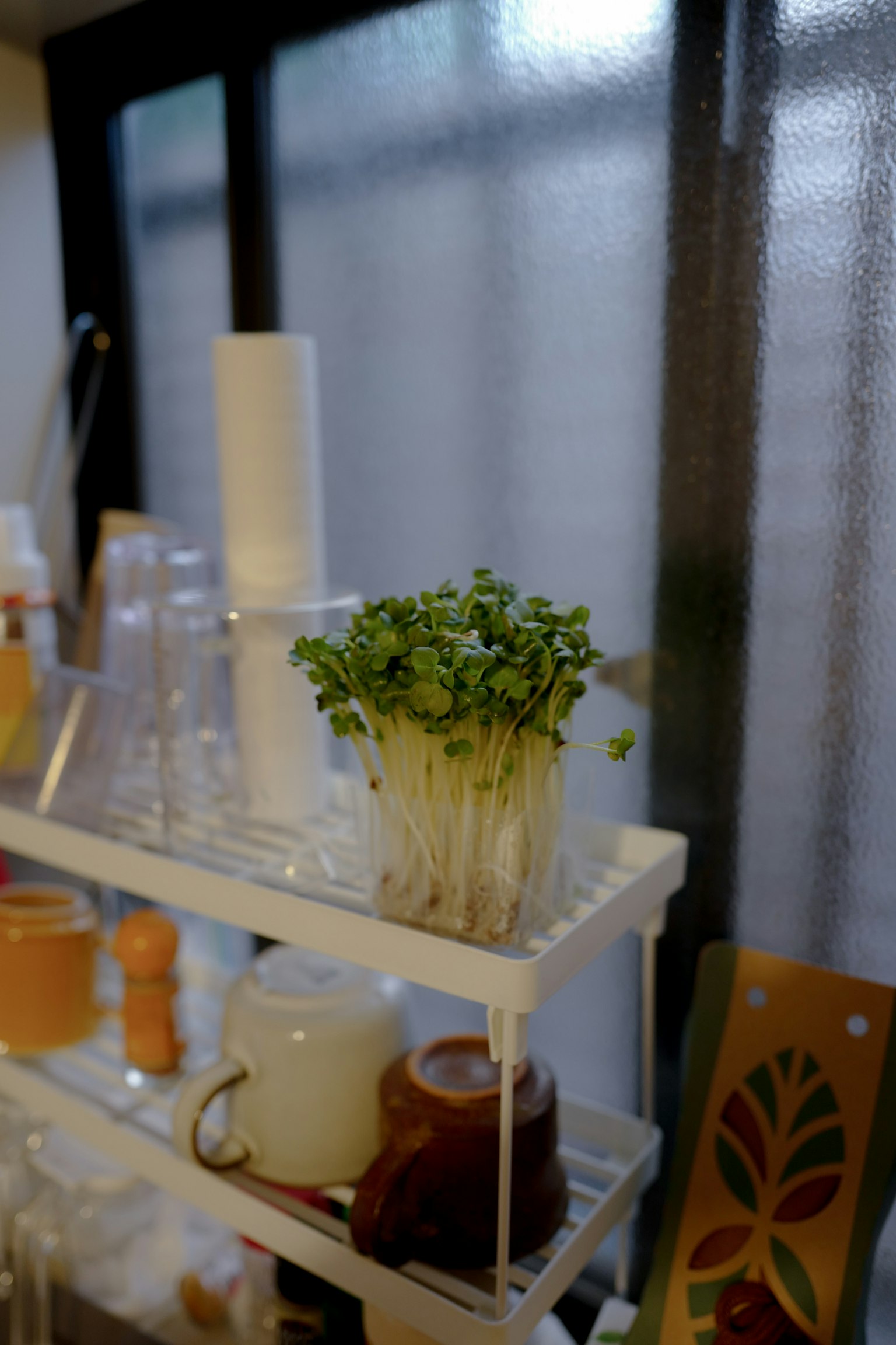 Brotes frescos en una estantería de cocina con varios utensilios transparentes