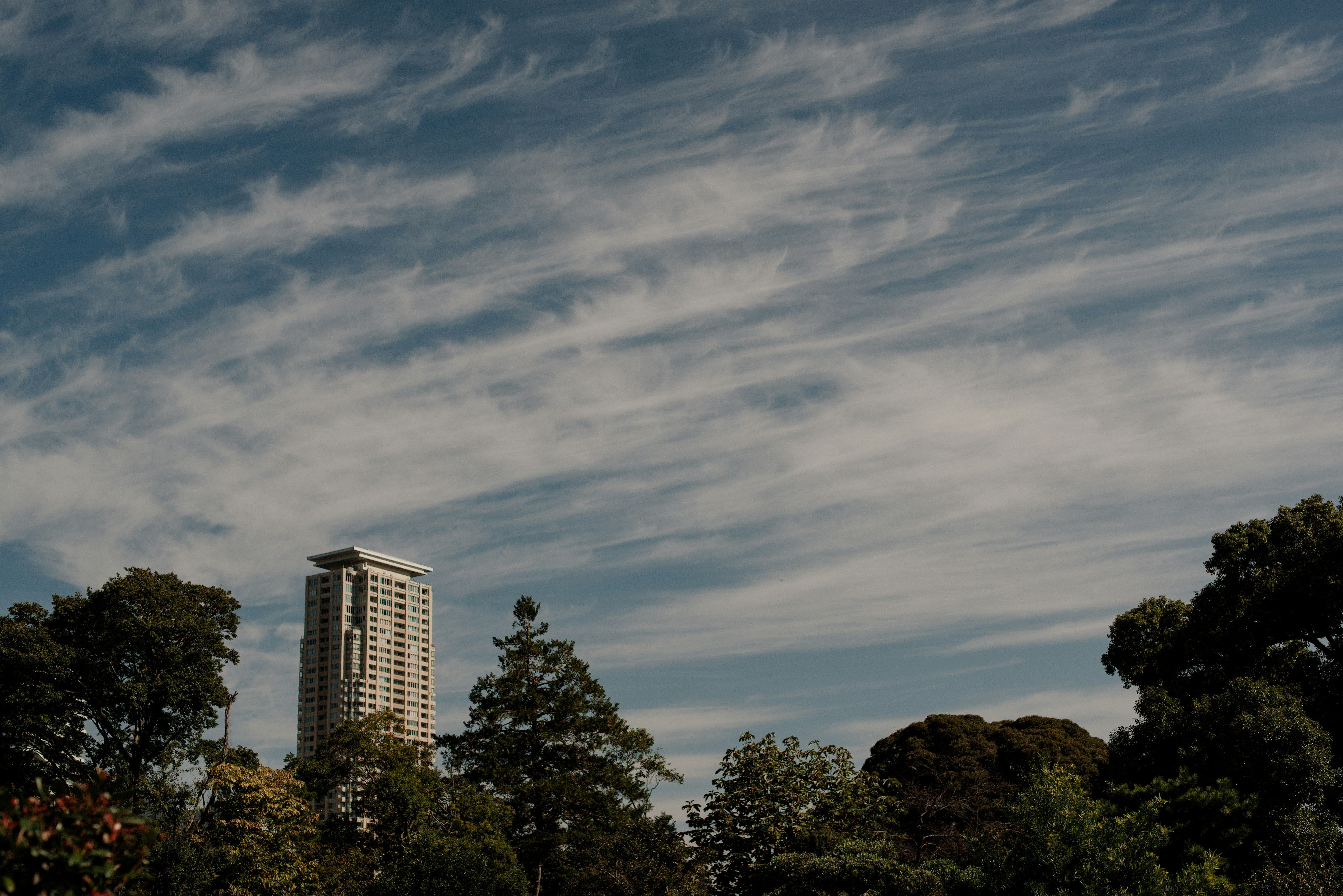 Autumn sky with cloud patterns over treetops and high-rise buildings
