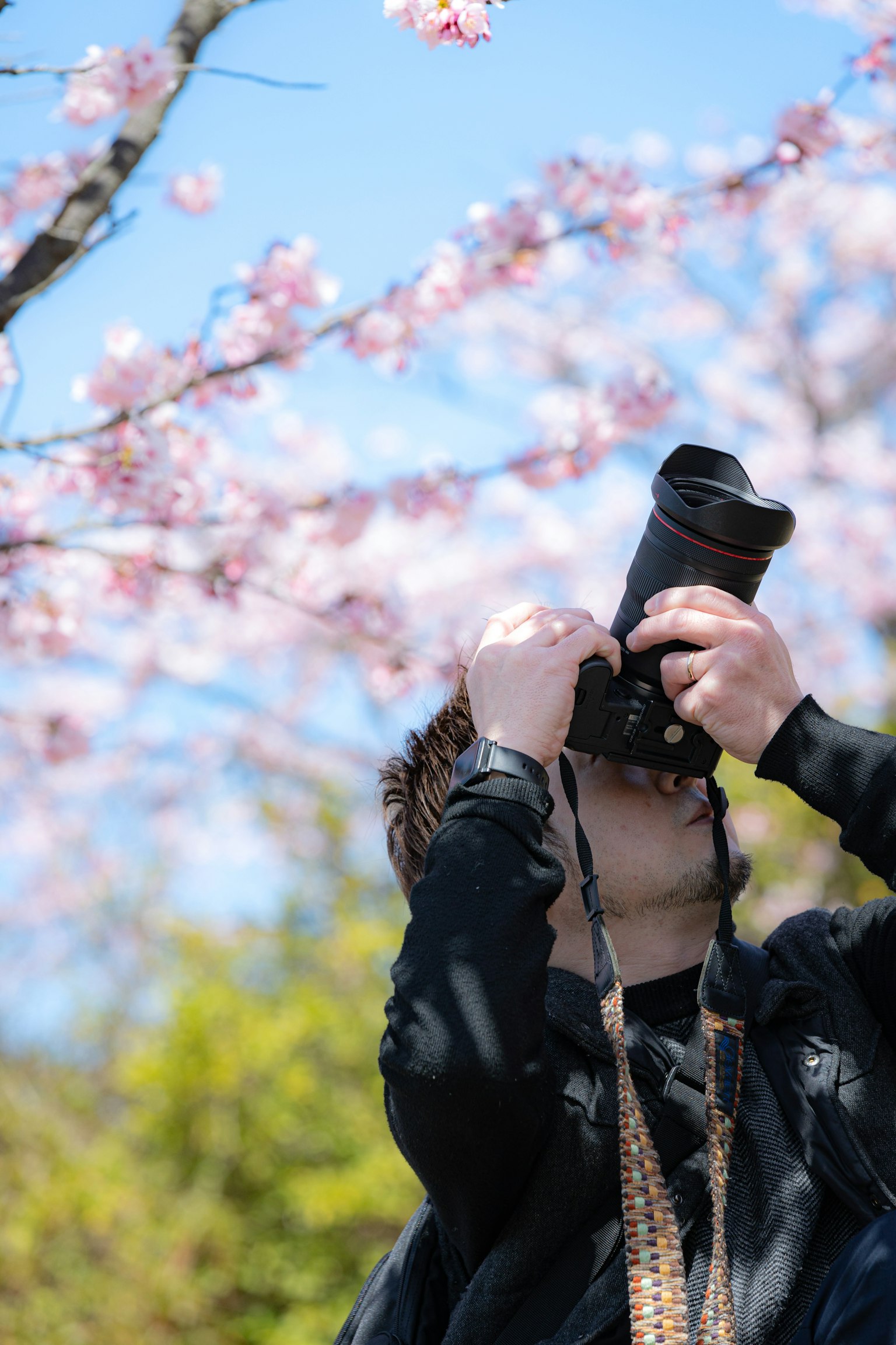 Person, die unter Kirschblüten fotografiert