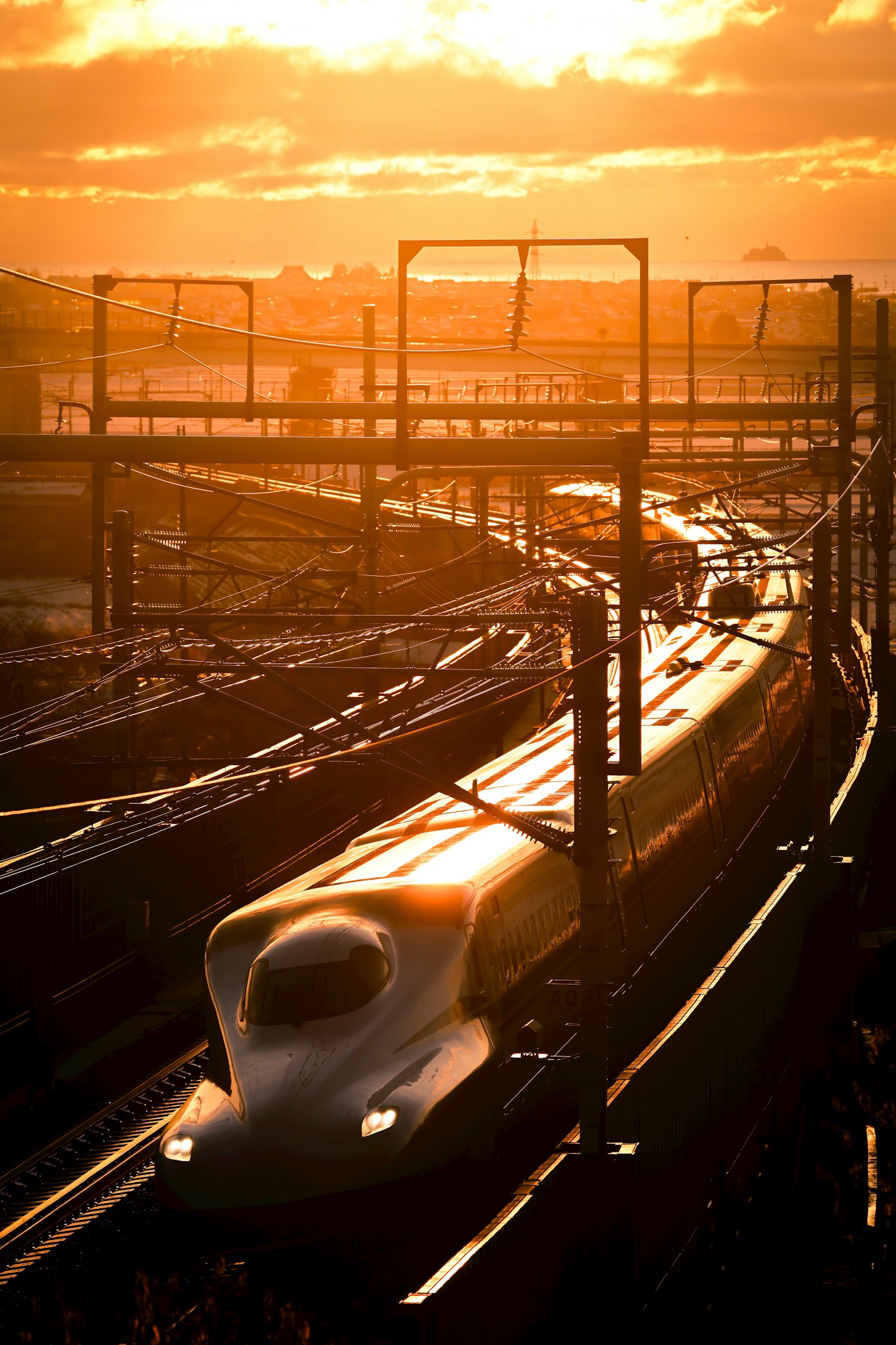 photo-1qomVDC3GK52VsPGCGh3-image