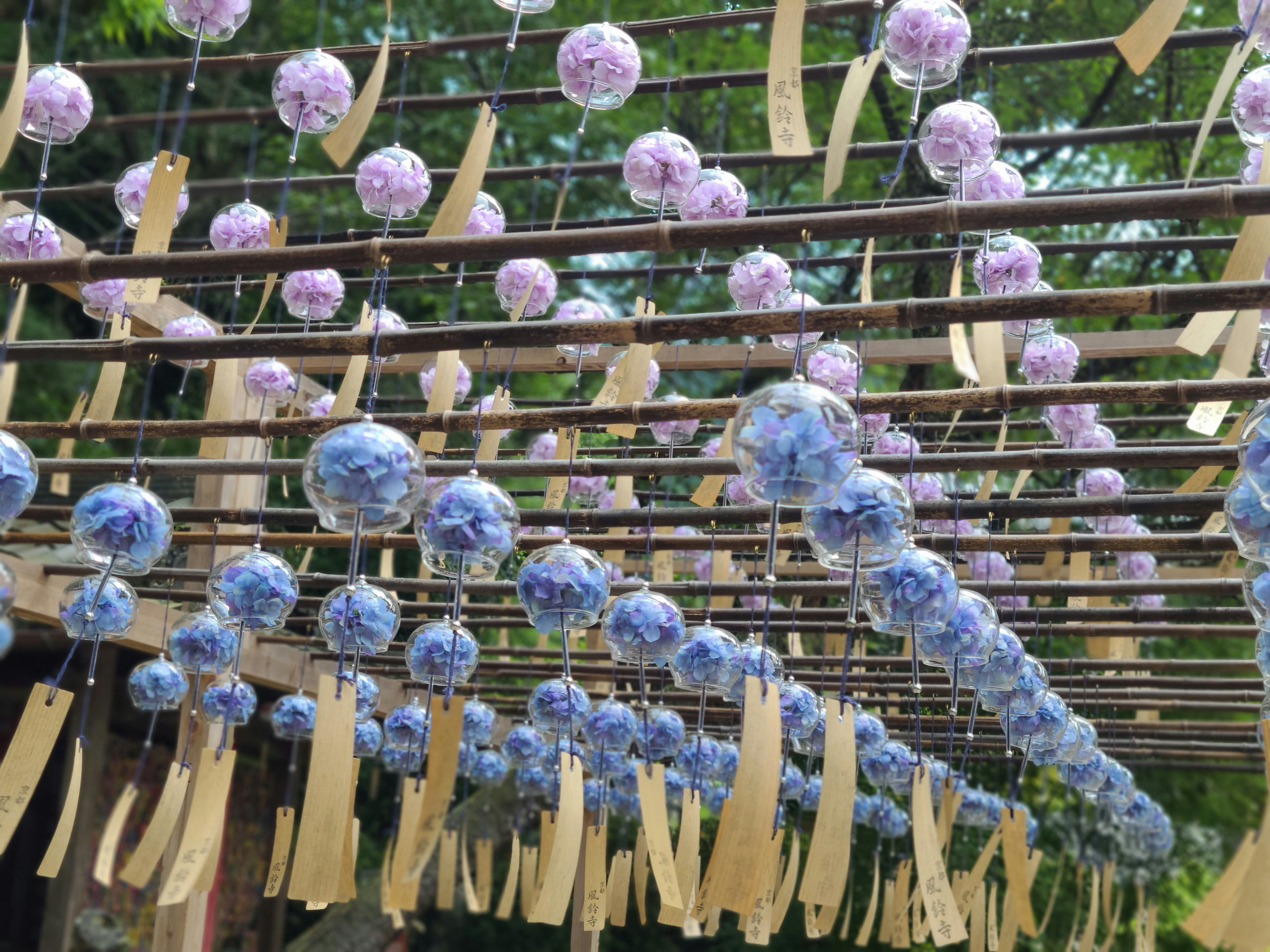 Colorful wind chimes hanging in a serene setting