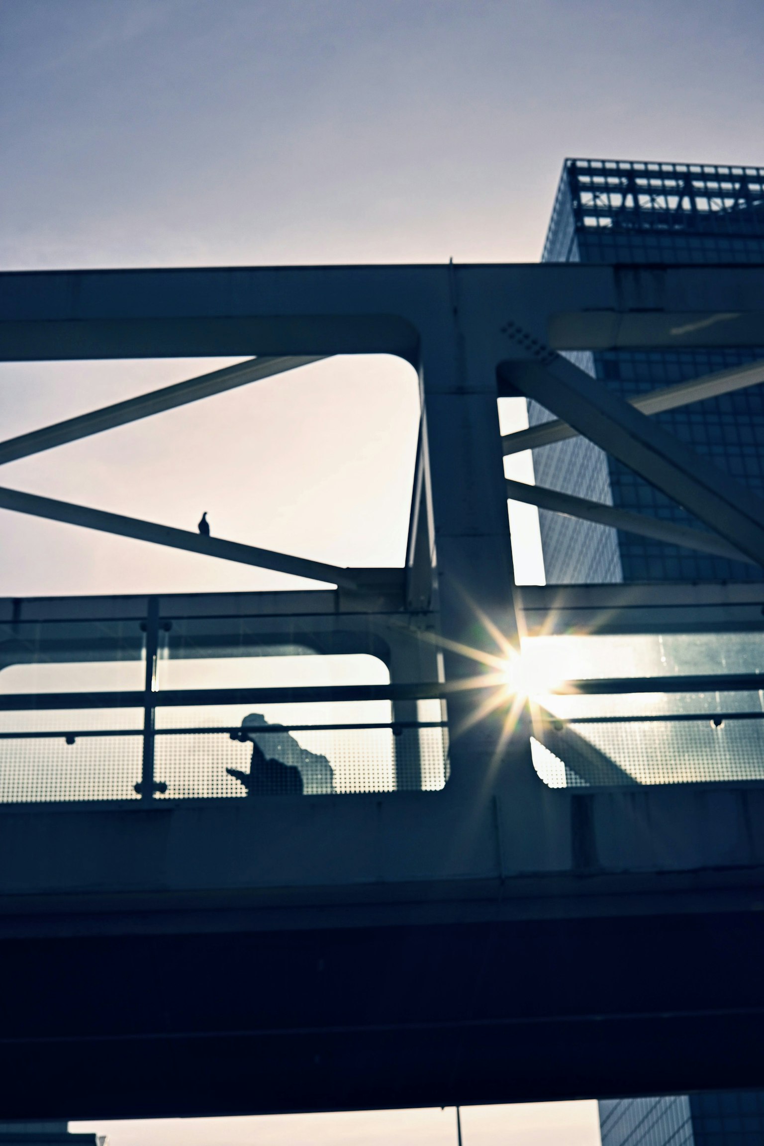 Silhouette d'une personne assise sur un pont avec un reflet de lumière