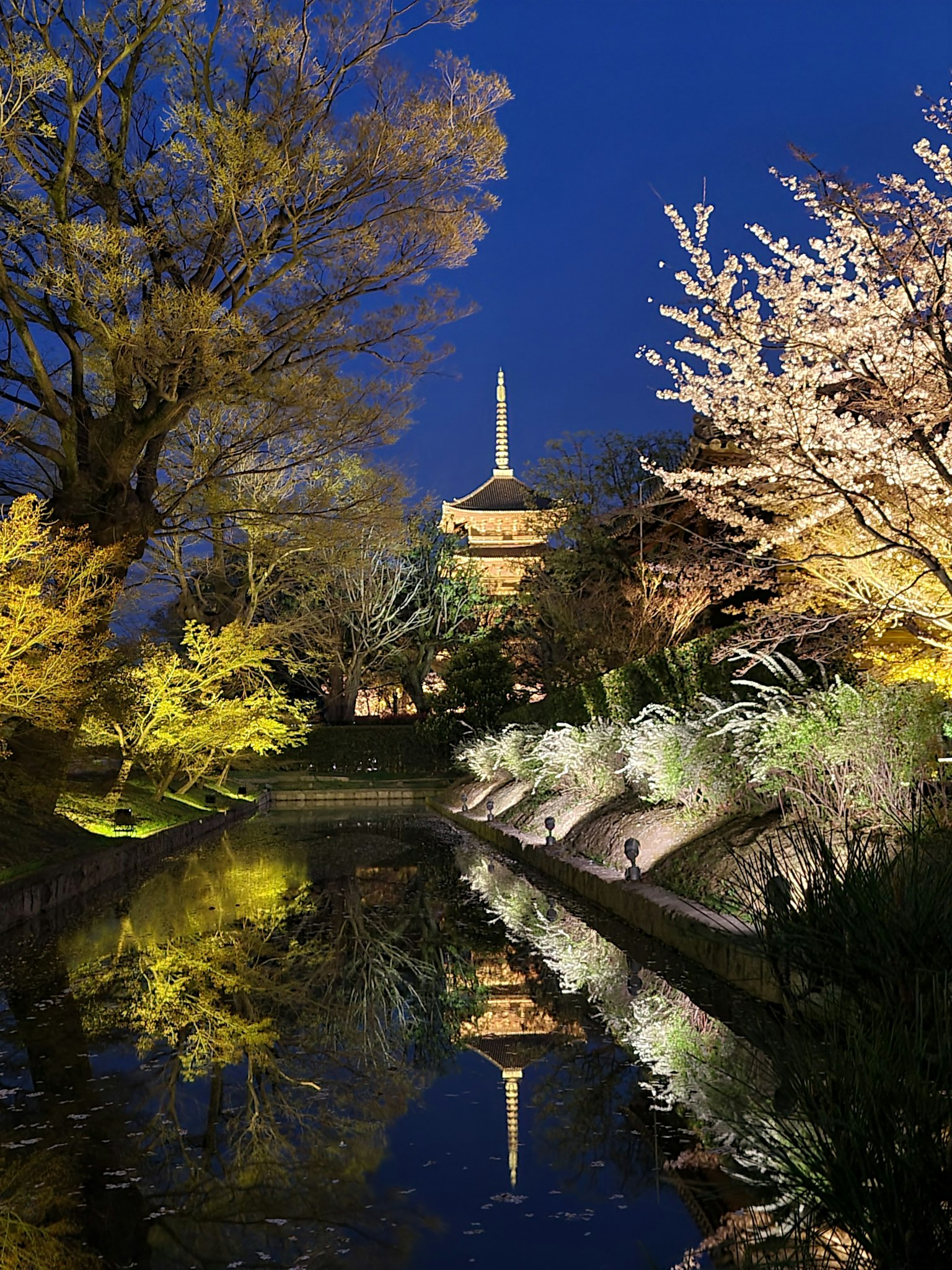 Schöne Nachtszene mit Kirschblüten und einer Pagode, die sich im Teich spiegelt