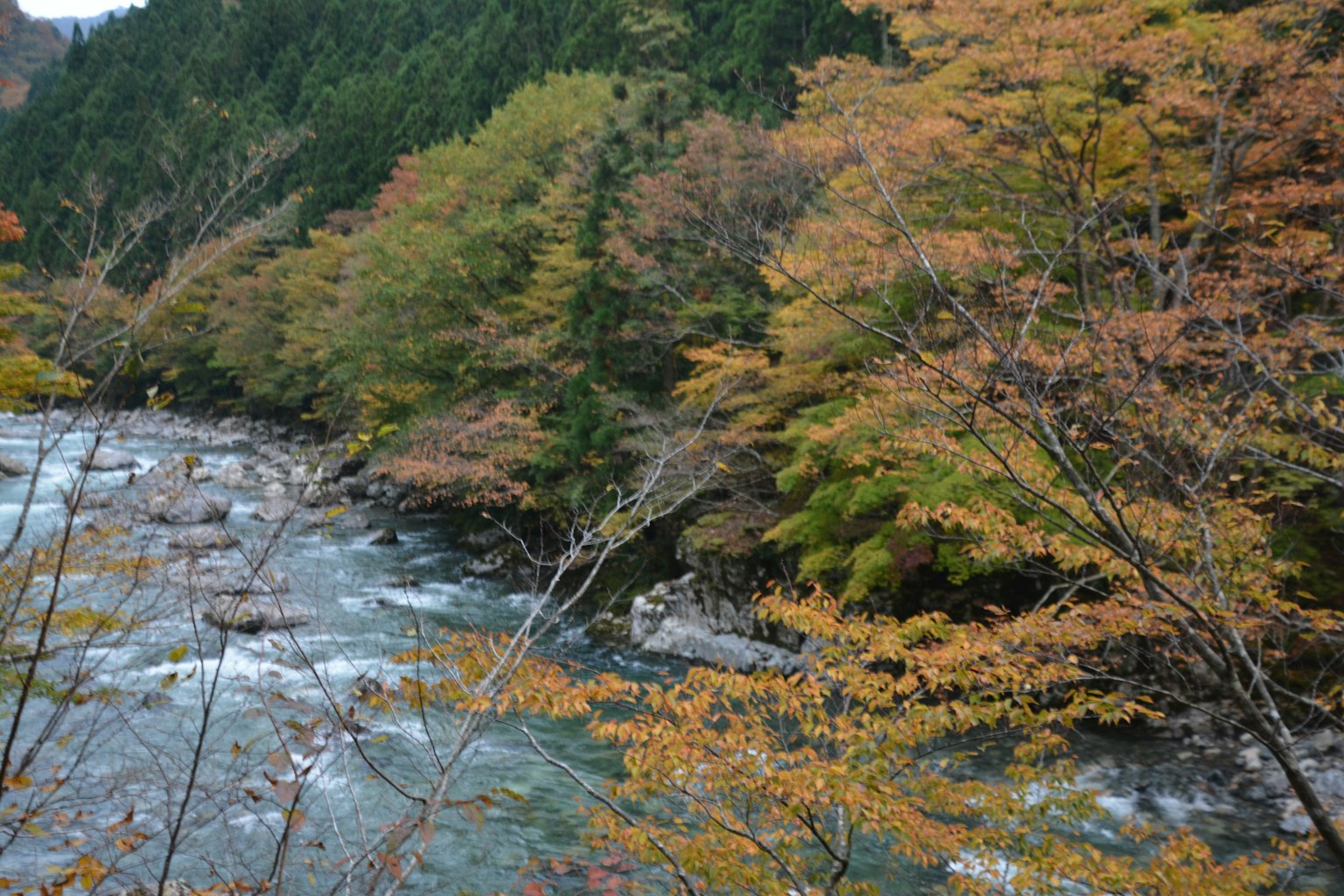 Vue pittoresque d'une rivière entourée de feuillage d'automne
