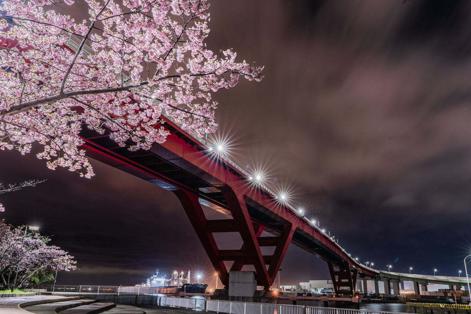 Magnifique vue nocturne des cerisiers en fleurs et d'un pont rouge