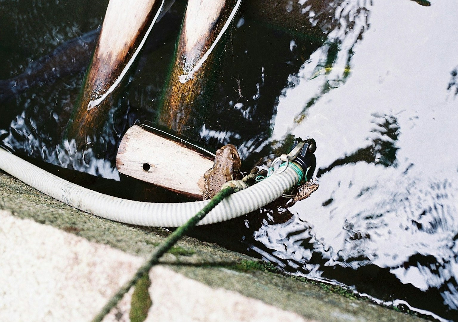 Nahaufnahme eines Schlauchs und einer Pumpe in der Nähe der Wasseroberfläche