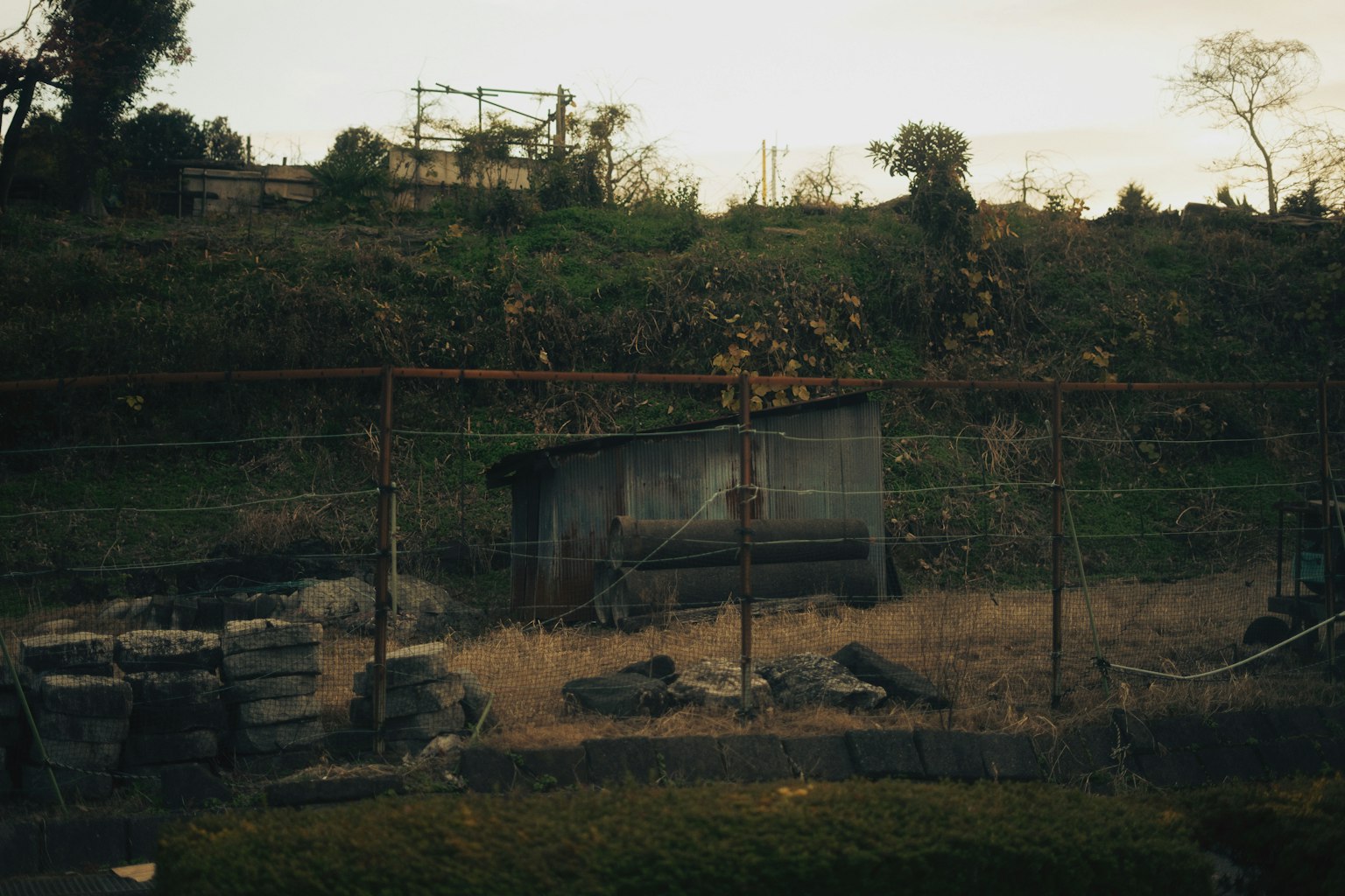Paysage avec un vieux cabanon sur une colline avec de la végétation verte