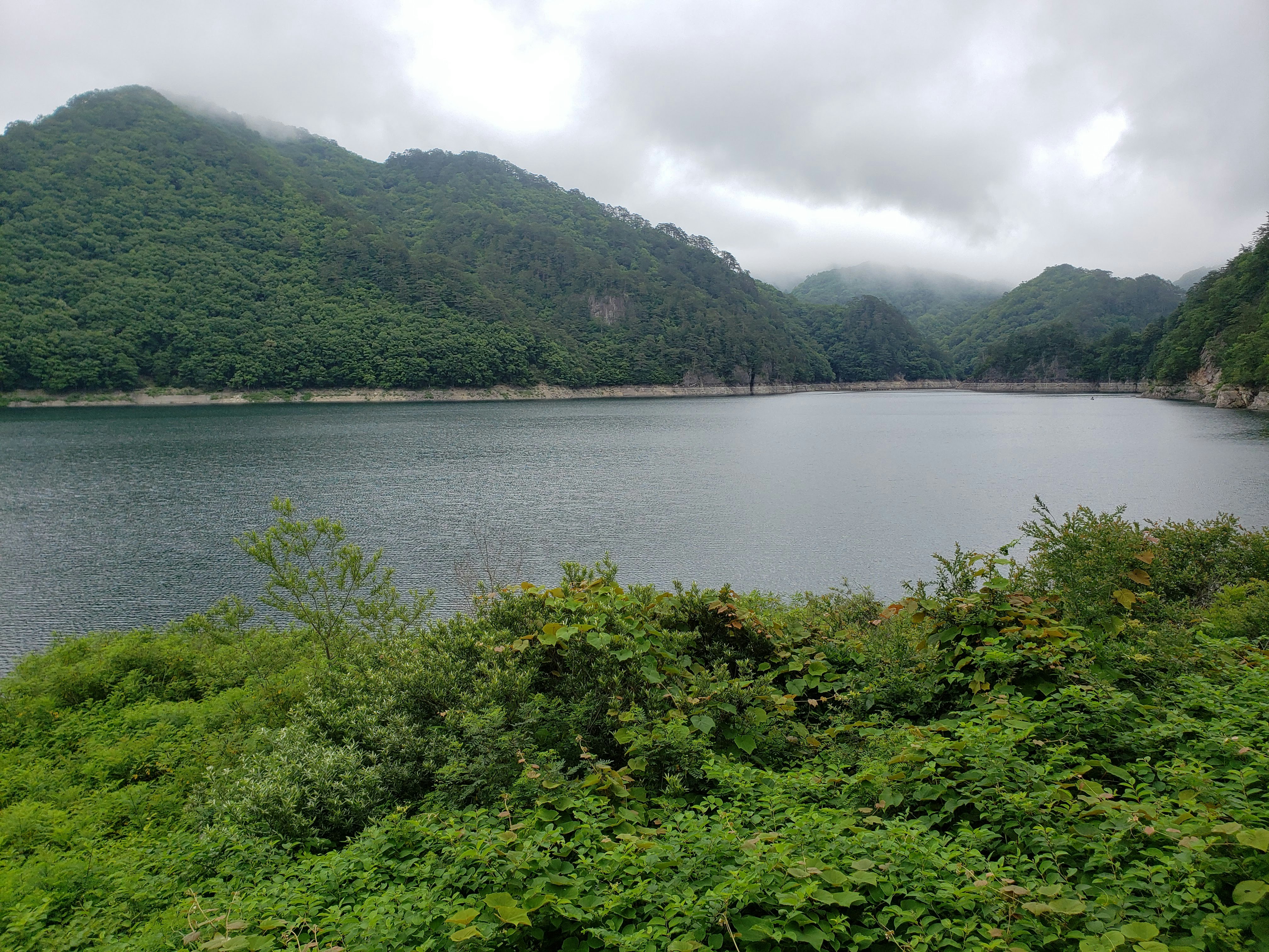 霧のかかった山と湖に囲まれたダム湖の景色