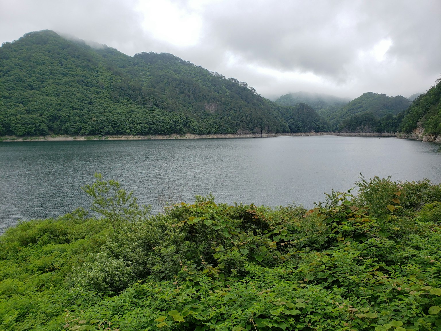 Paisaje de lago sereno rodeado de montañas verdes
