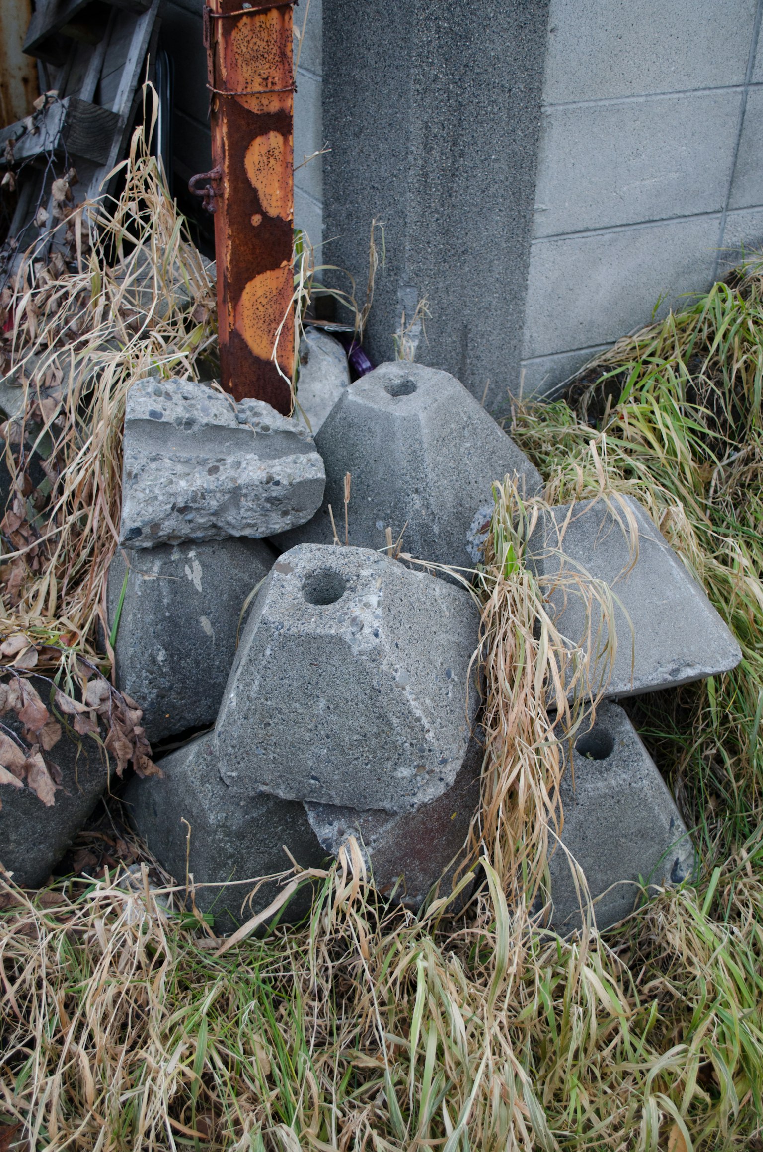 Various concrete blocks stacked amidst overgrown grass