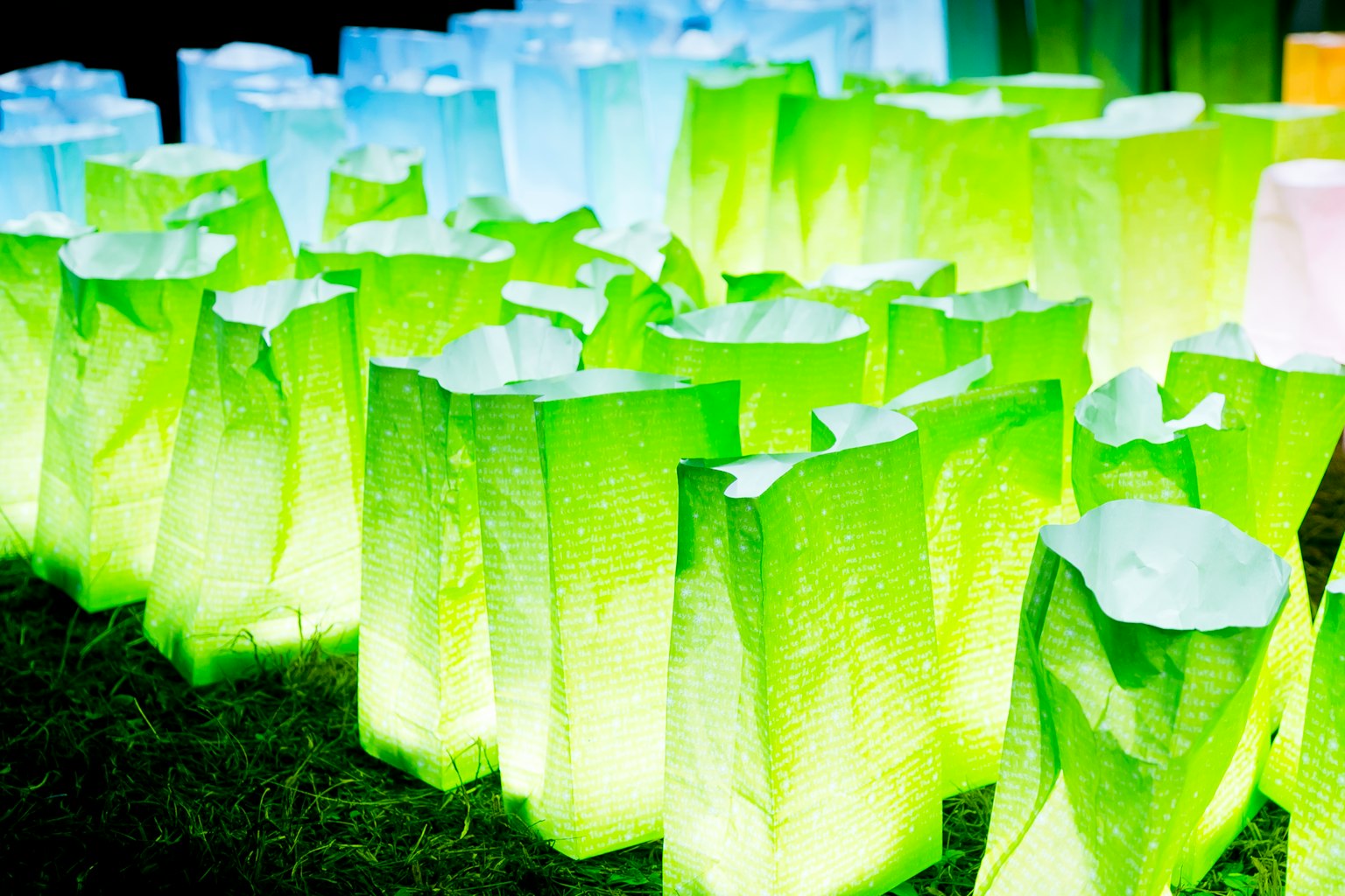 Colorful paper lanterns glowing in a garden setting
