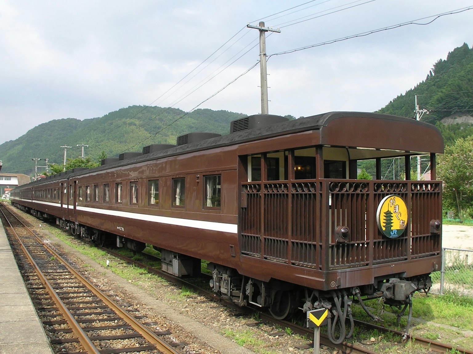 Tren marrón estacionado en una estación con montañas verdes de fondo