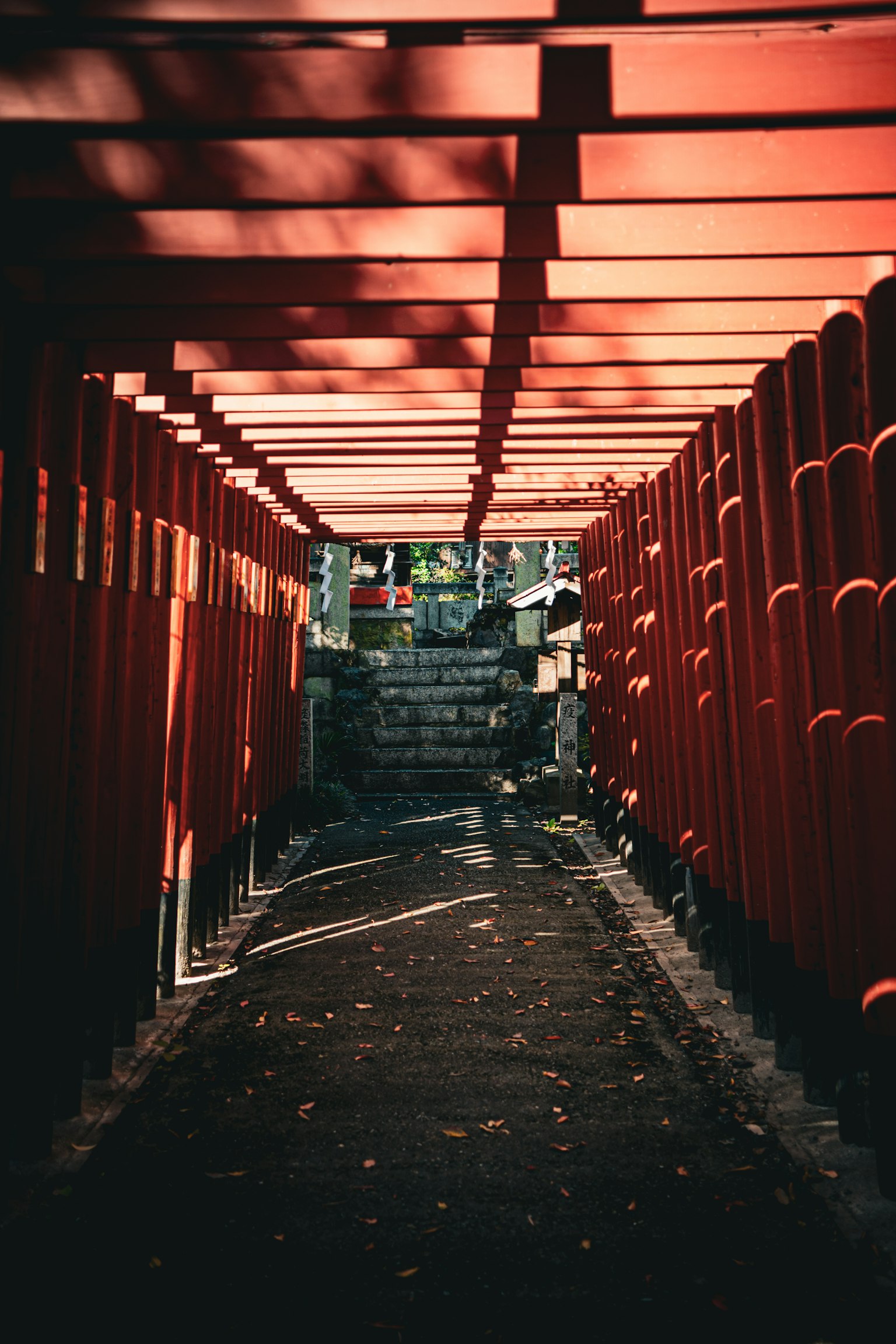 红色鸟居的景观，光线透过
