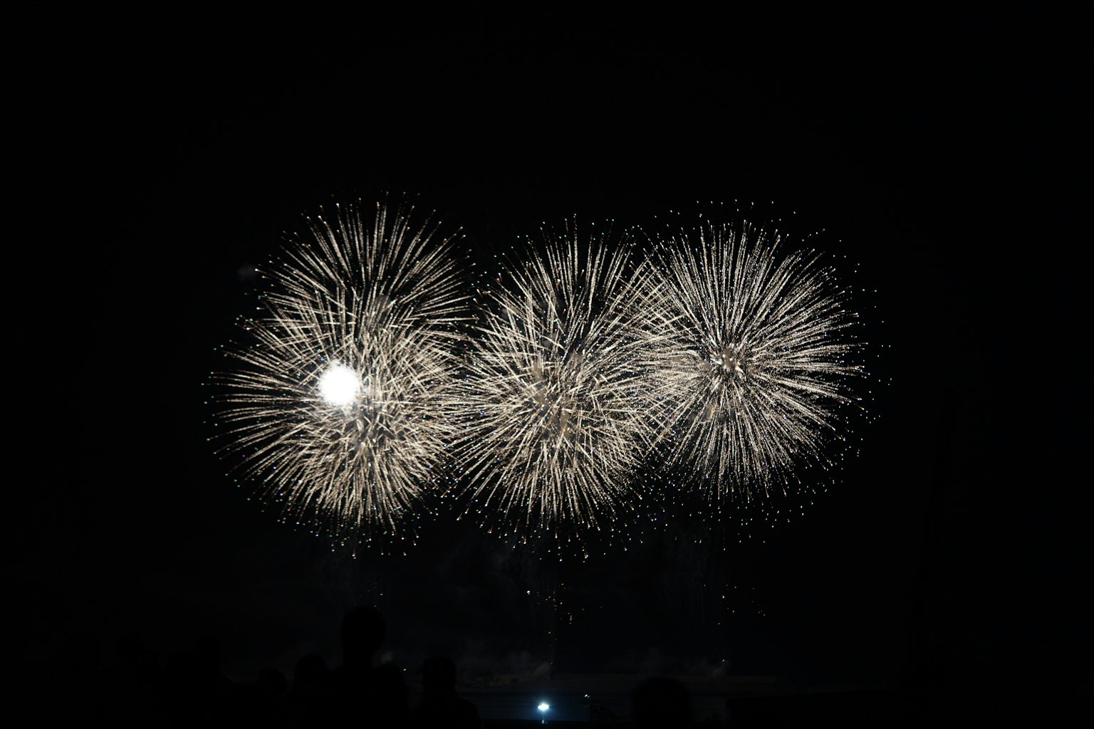 White fireworks display bursting in the night sky